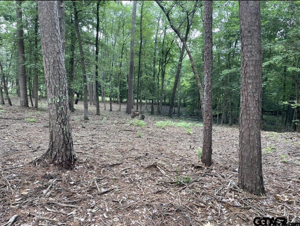 1688 Cr 1597 Property Photo 13