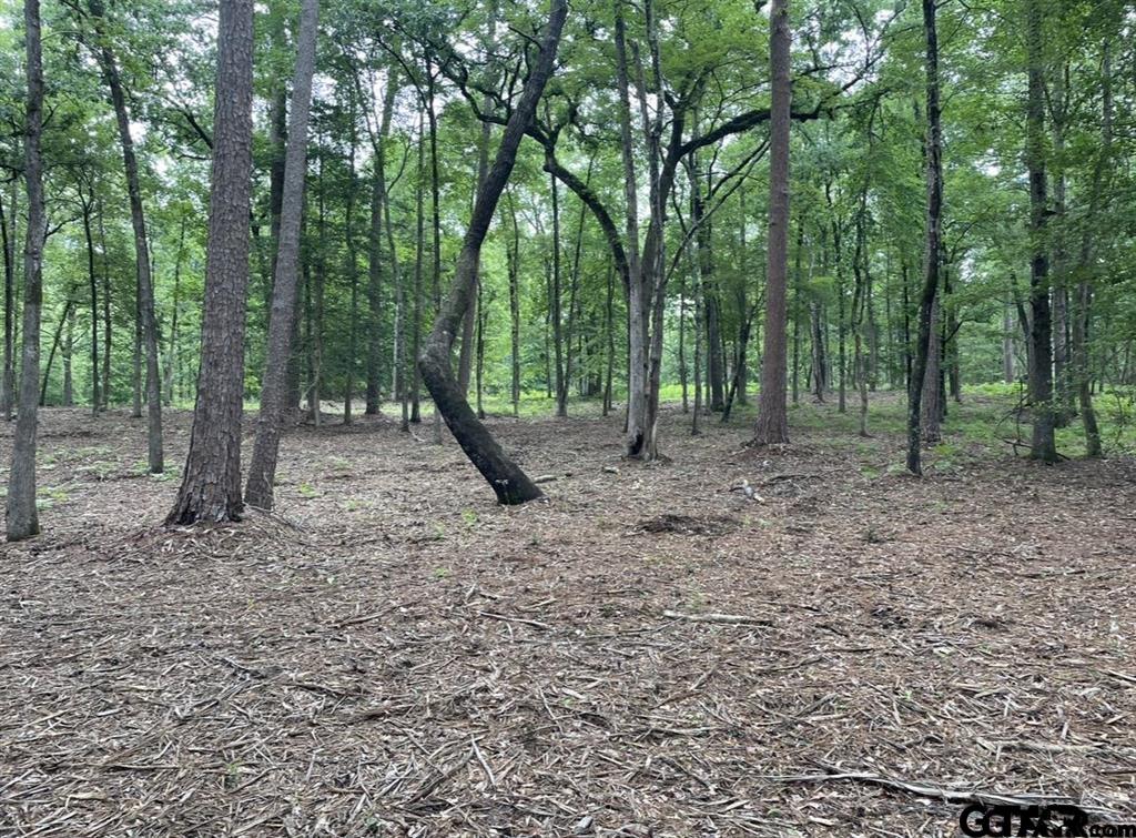 1688 Cr 1597 Property Photo 14