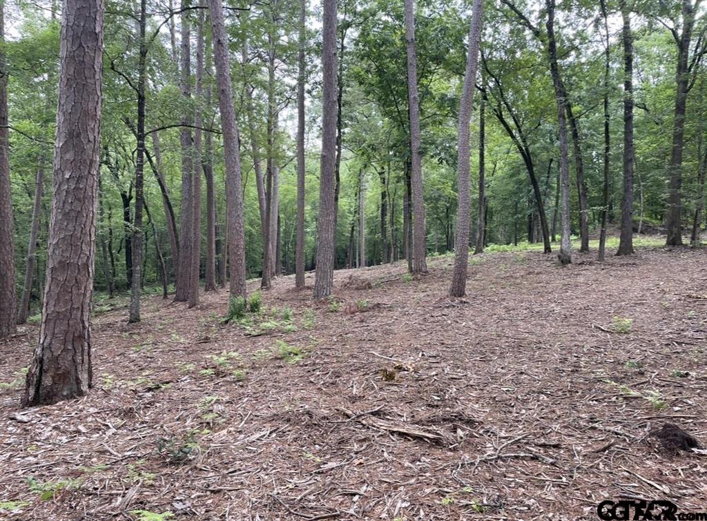 1688 Cr 1597 Property Photo 15