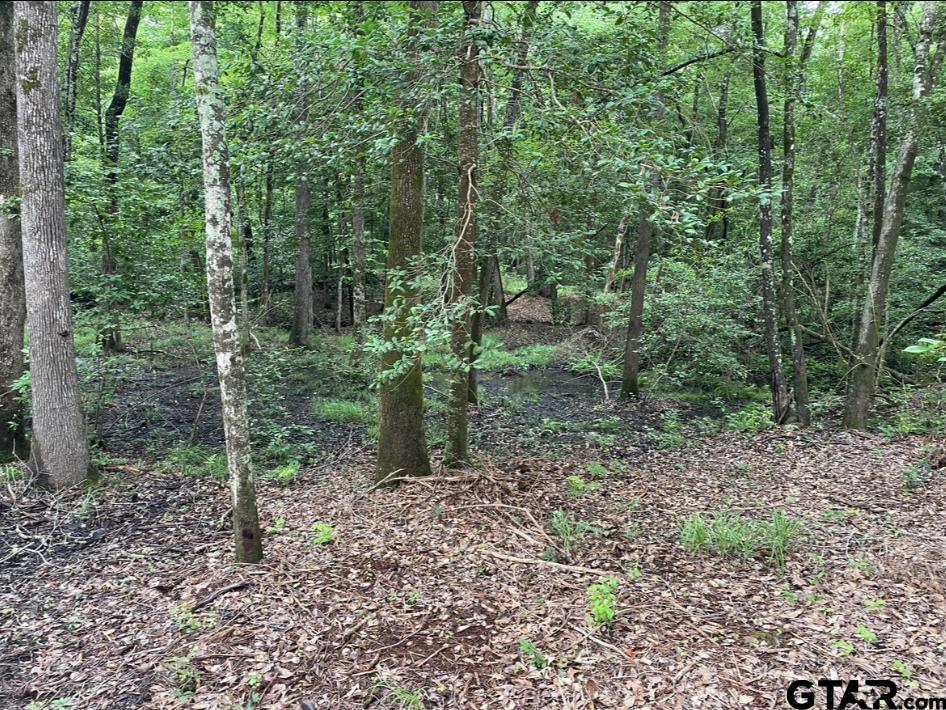 1688 Cr 1597 Property Photo 16