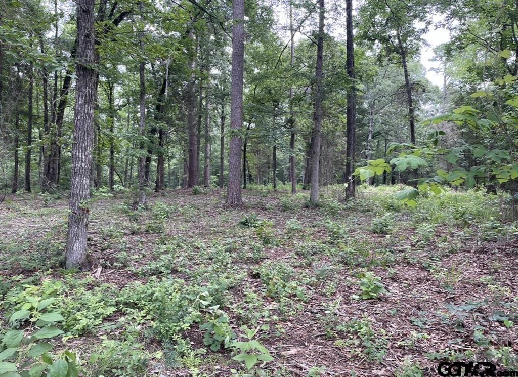 1688 Cr 1597 Property Photo 19