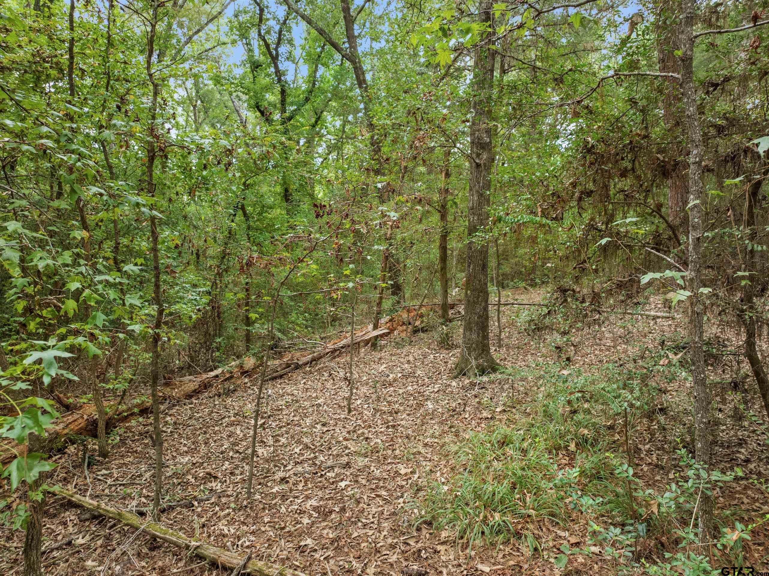 0 Us Highway 175 Property Photo 5
