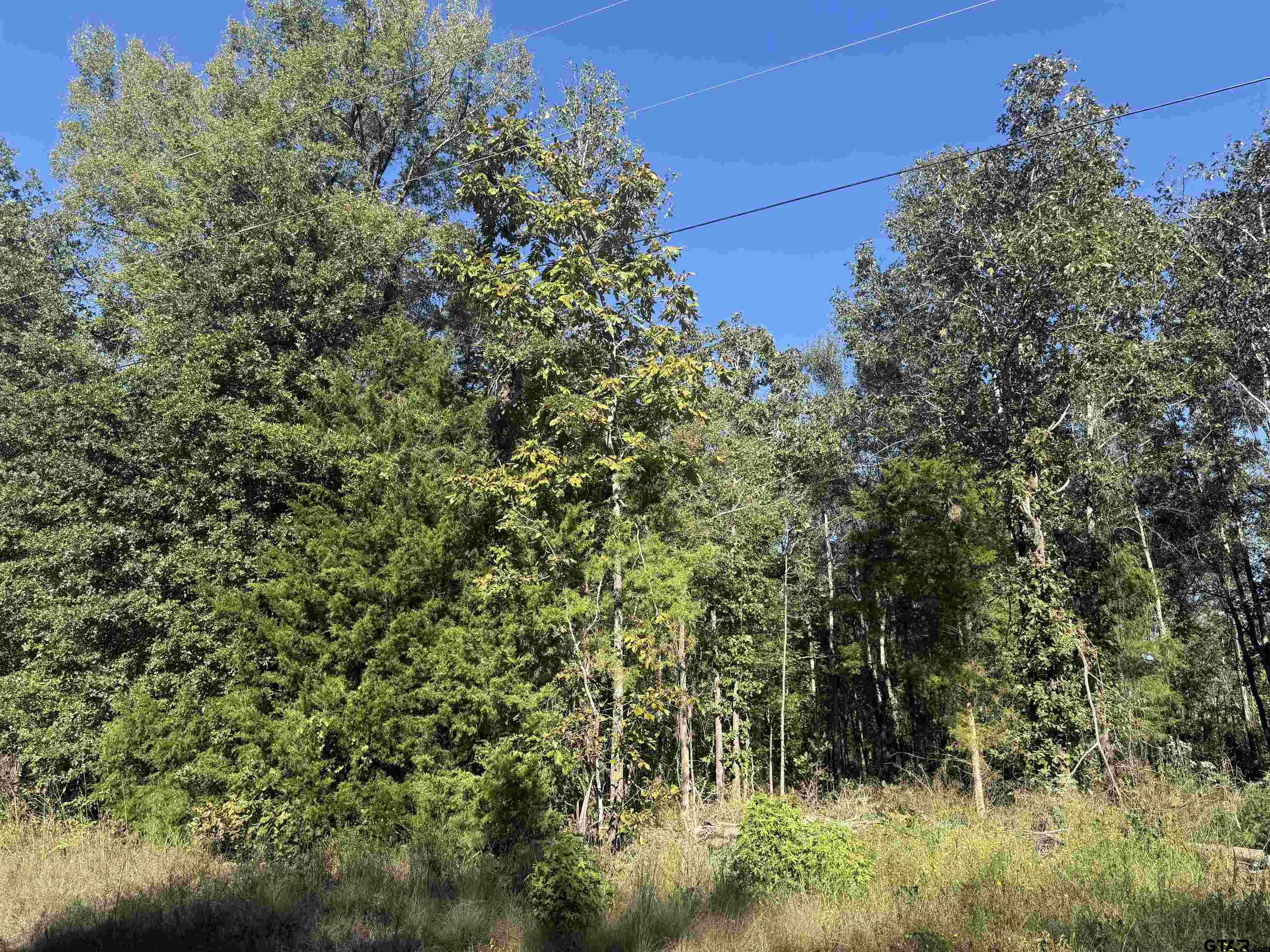 Tbd Tr 6g Cr 4606 Property Photo 2