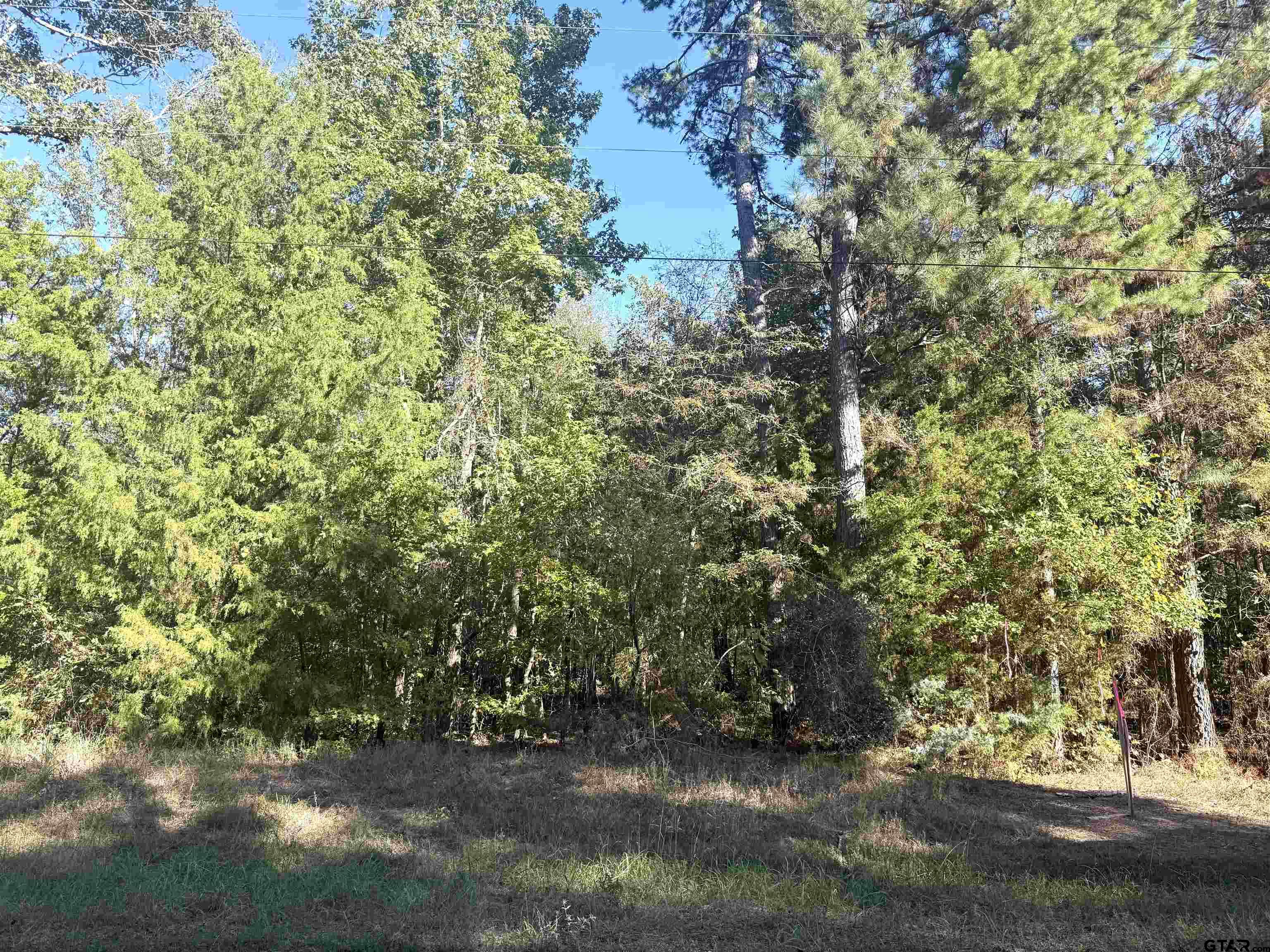 Tbd Tr 6g Cr 4606 Property Photo 6