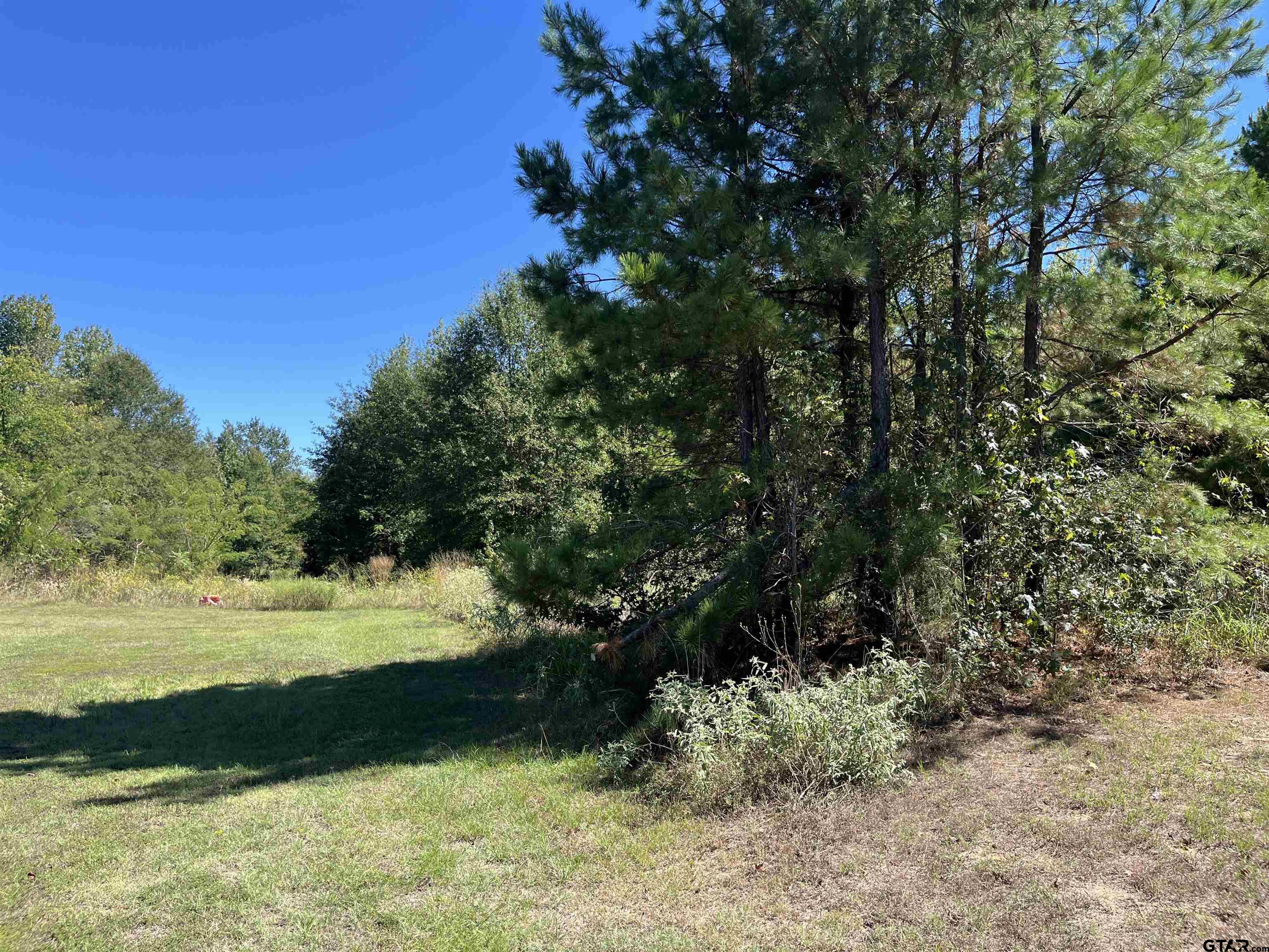Tbd Ford Rd. Property Photo 1