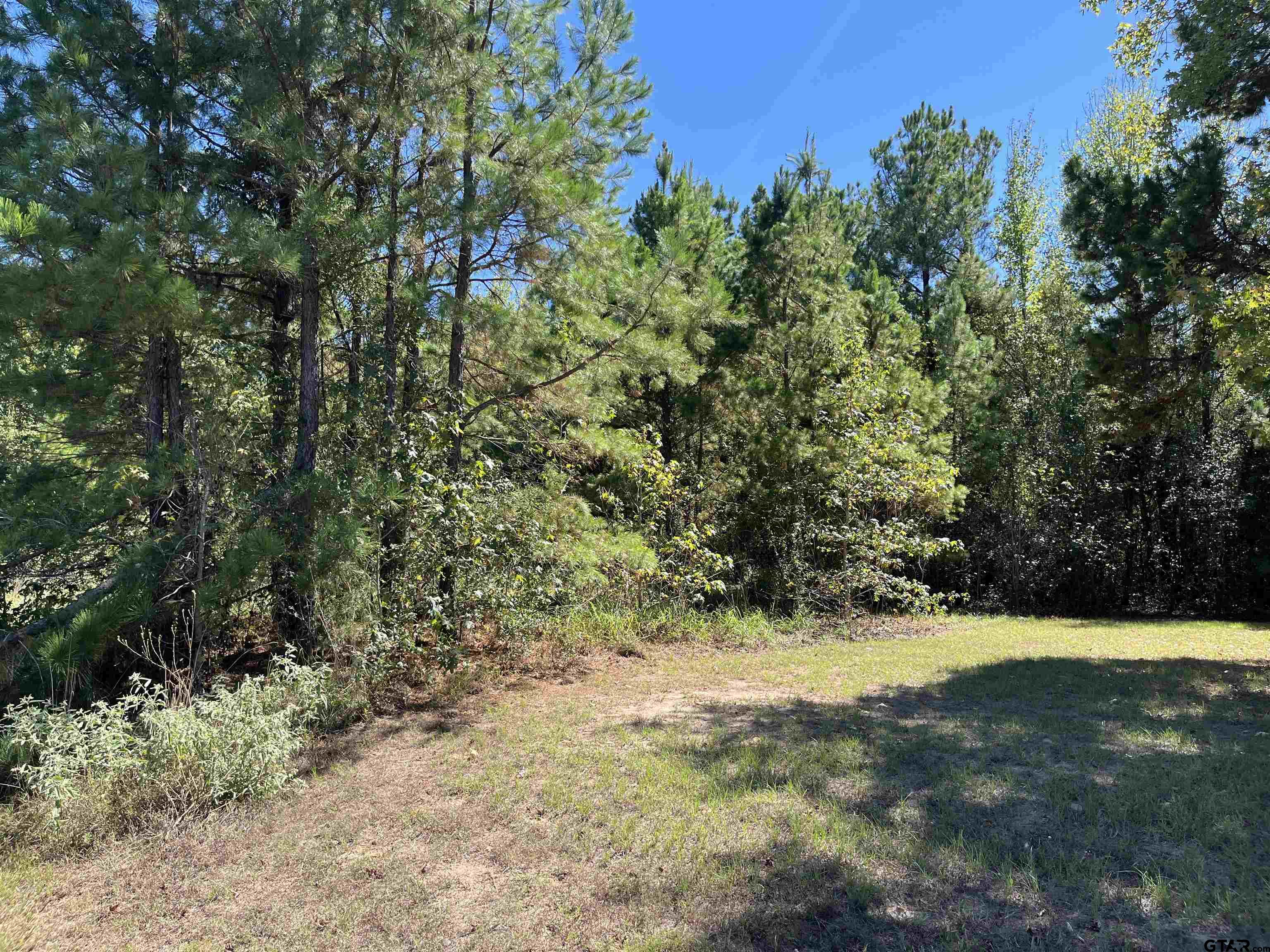Tbd Ford Rd. Property Photo 2