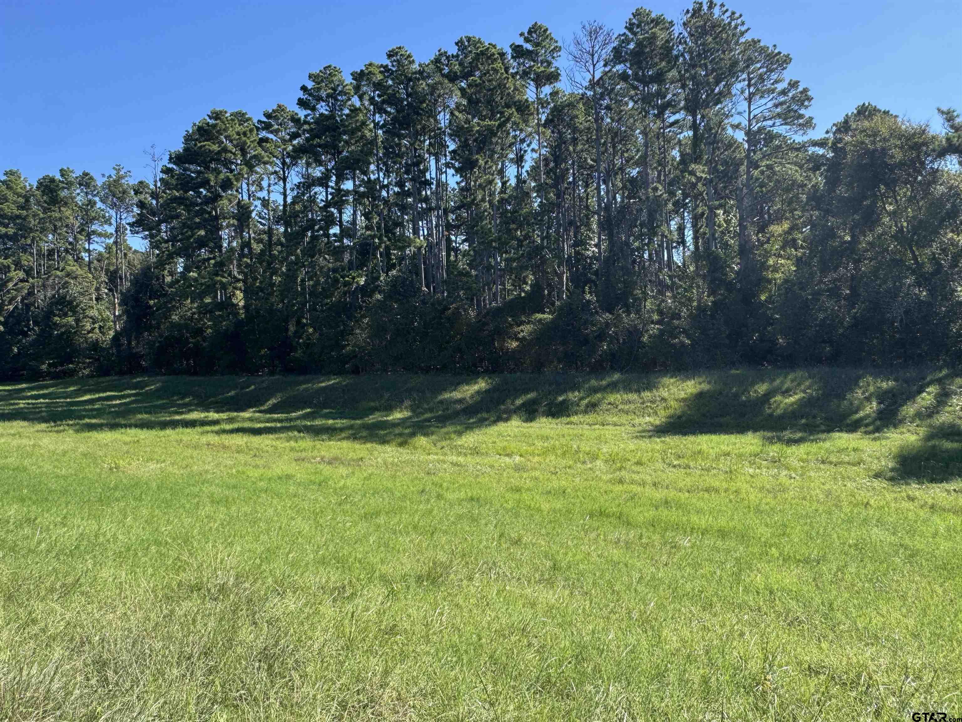 8289 S Hwy 155 Property Photo 8
