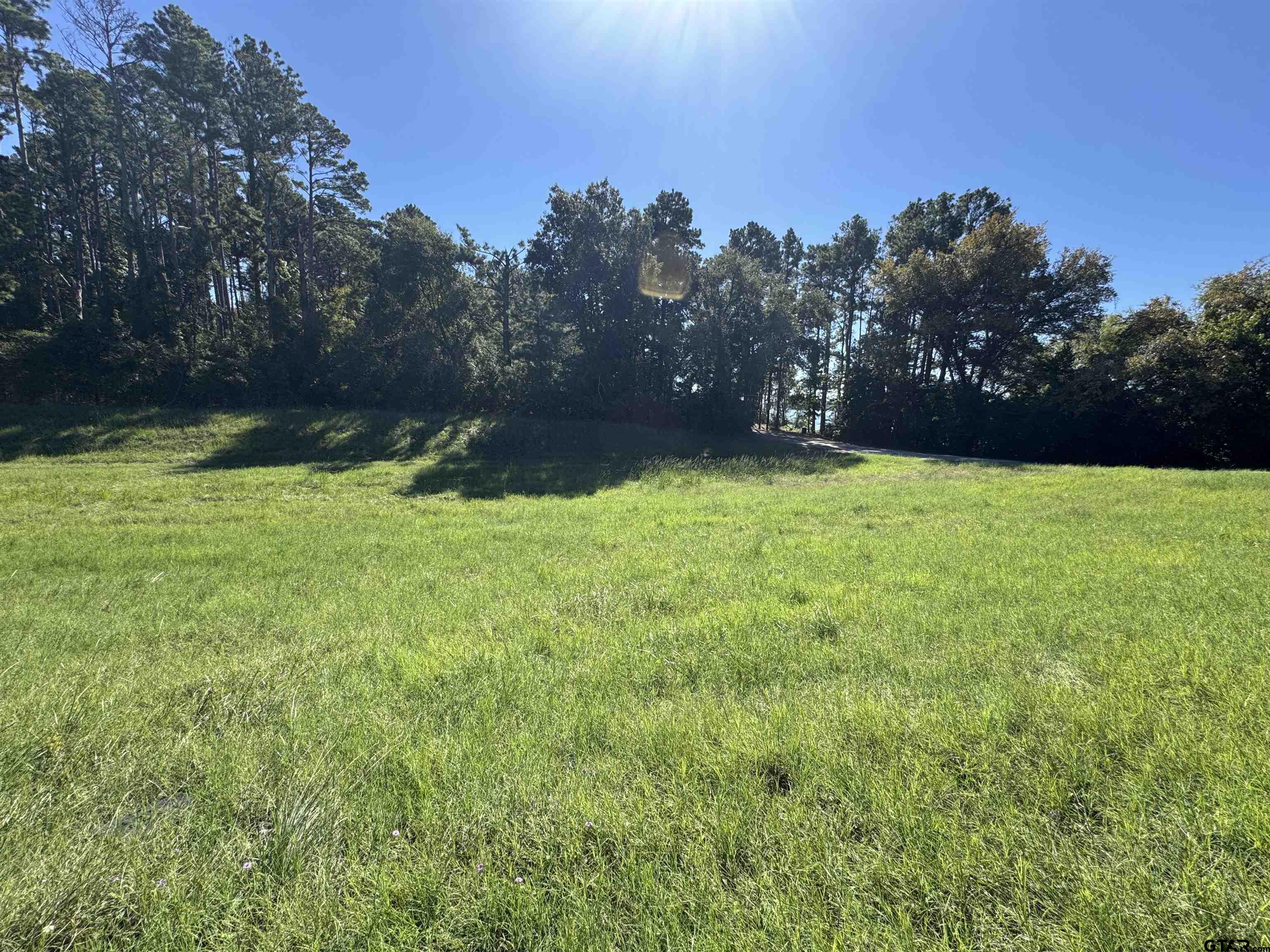 8289 S Hwy 155 Property Photo 10
