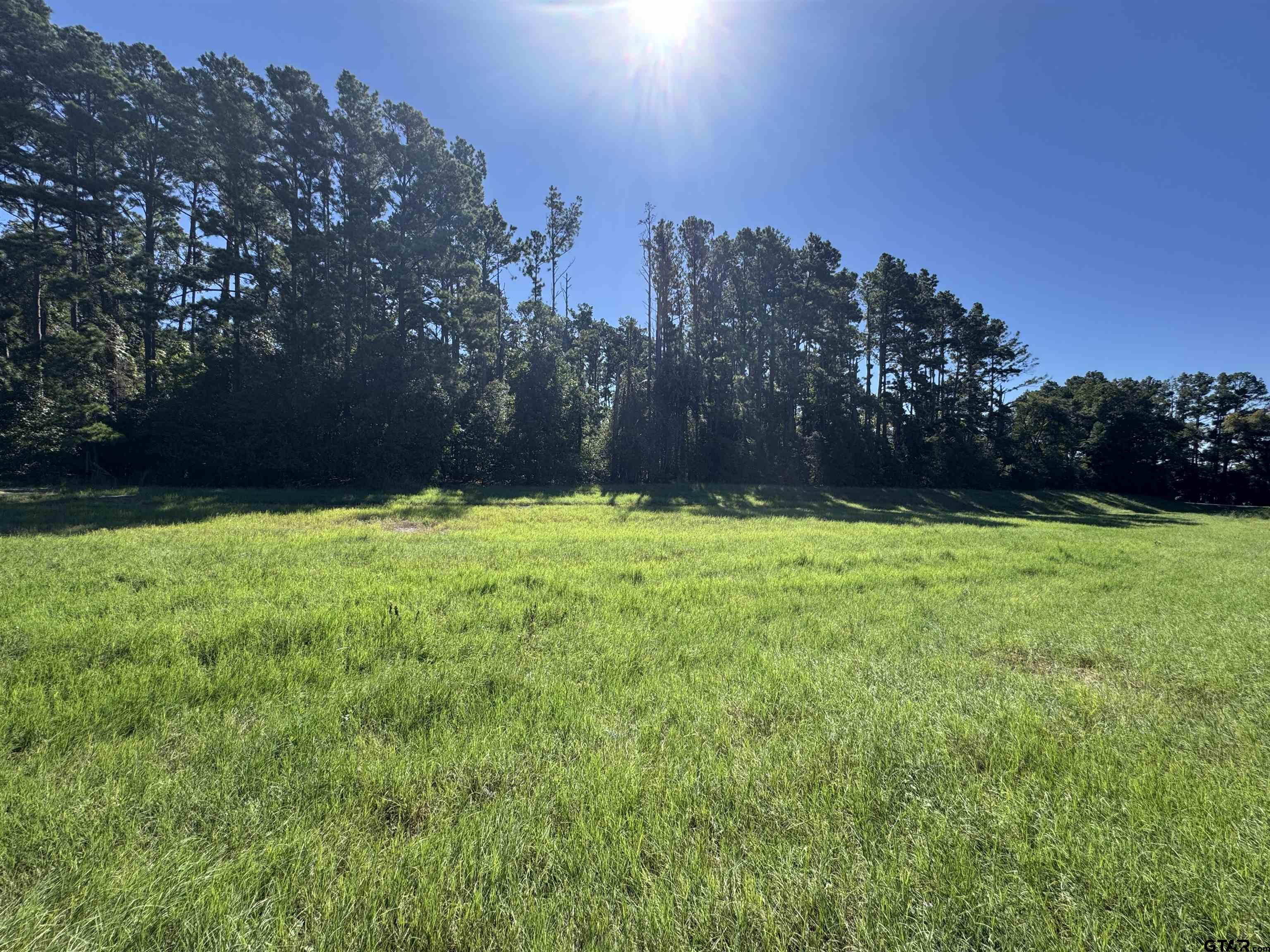 8289 S Hwy 155 Property Photo 12