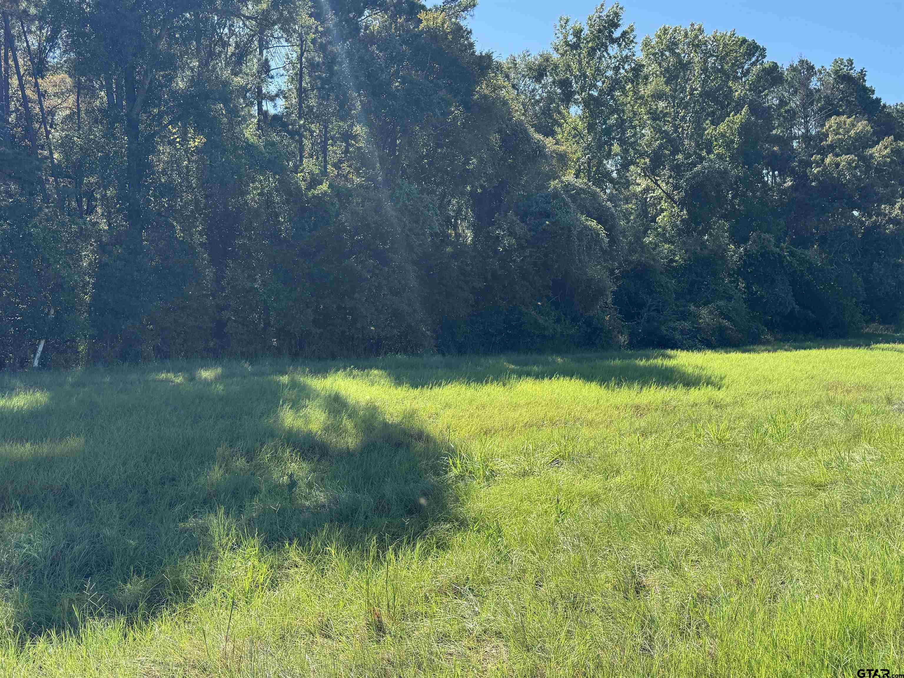 8289 S Hwy 155 Property Photo 15