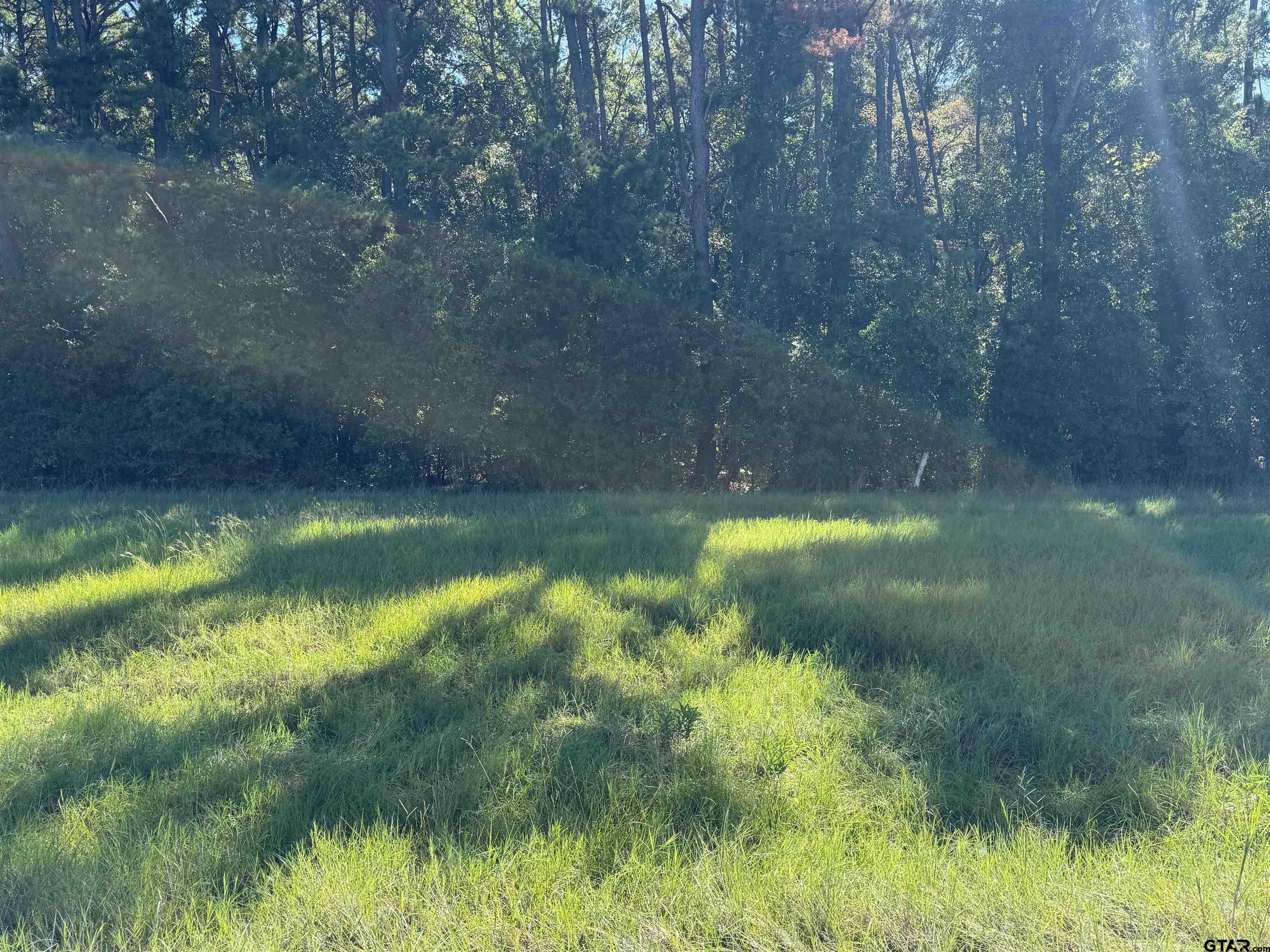 8289 S Hwy 155 Property Photo 16