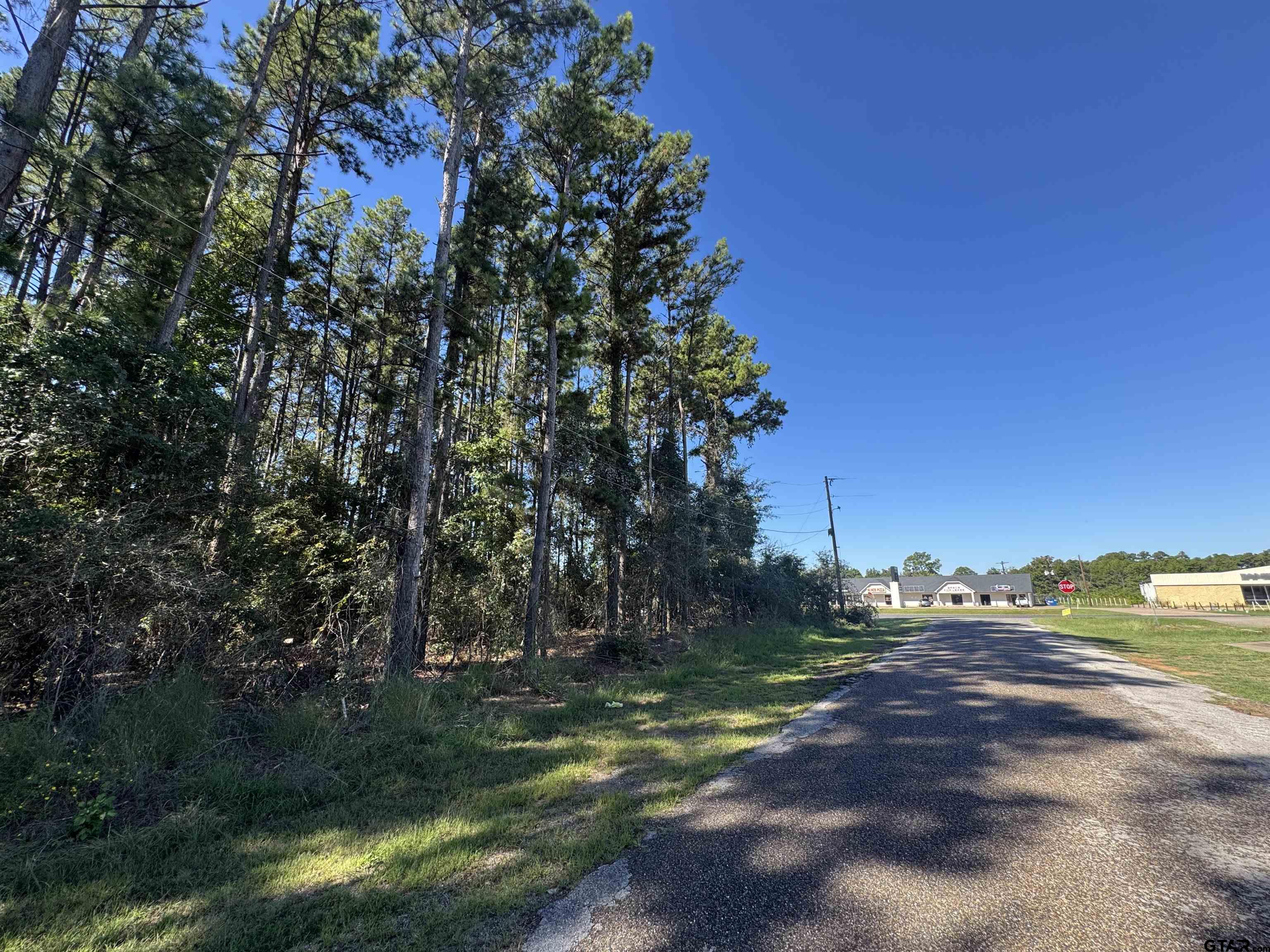 8289 S Hwy 155 Property Photo 18