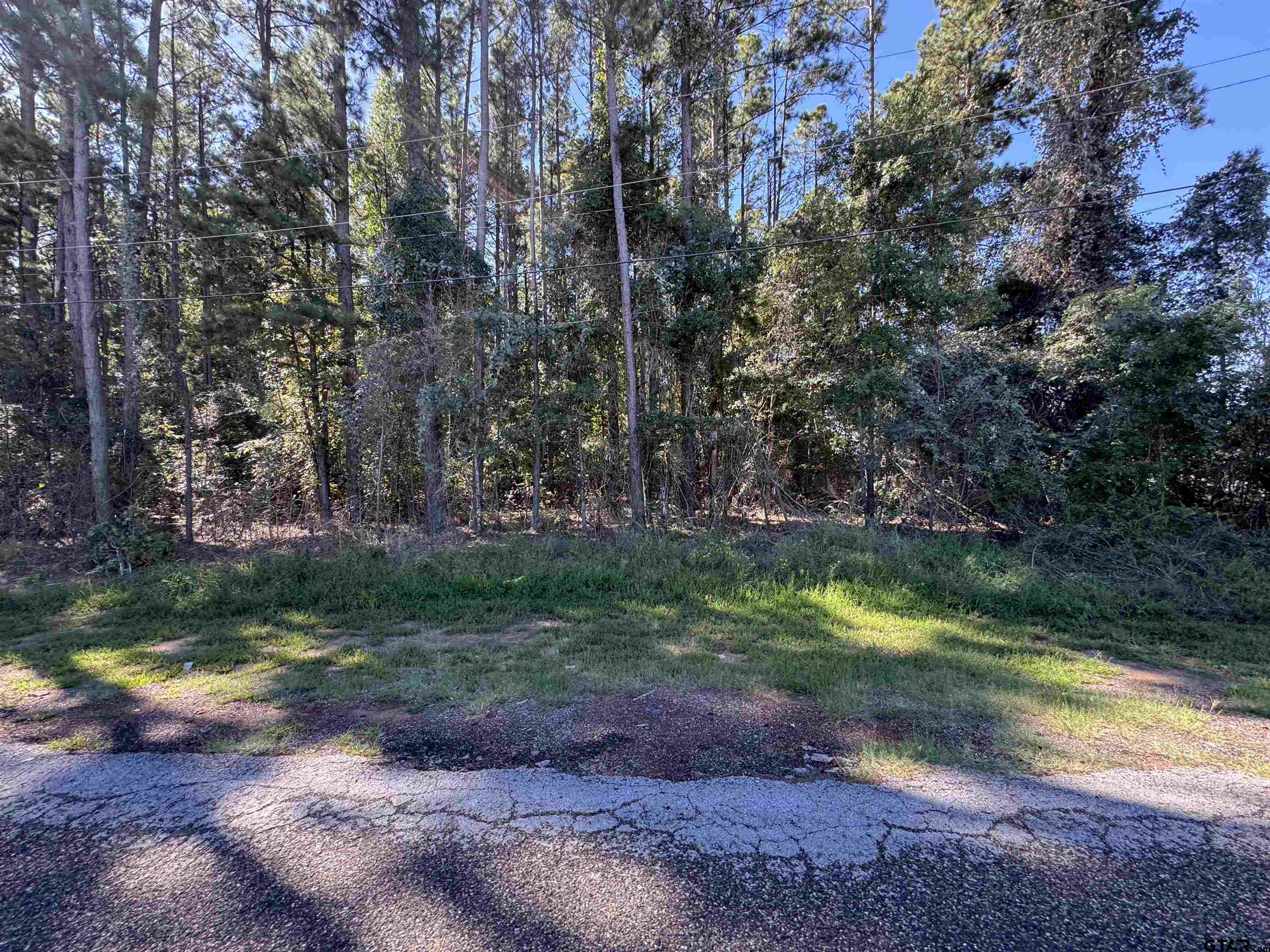 8289 S Hwy 155 Property Photo 19