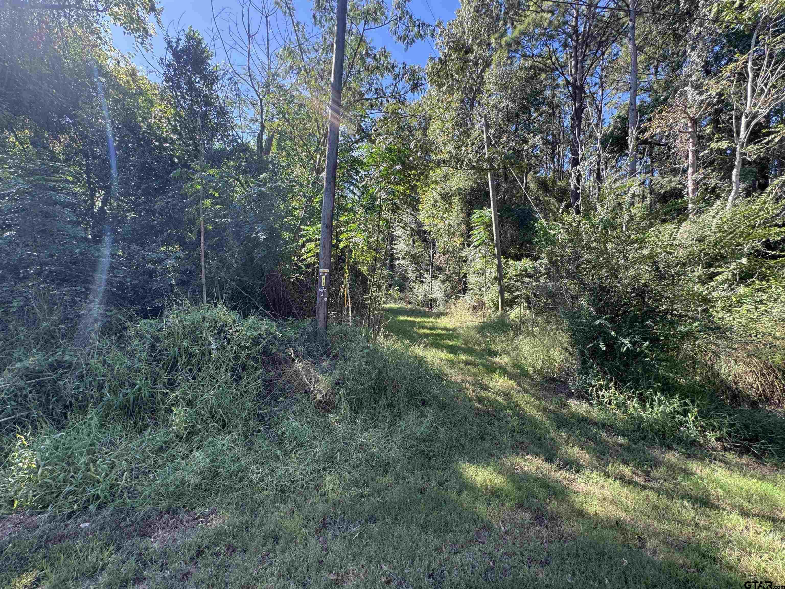 8289 S Hwy 155 Property Photo 20