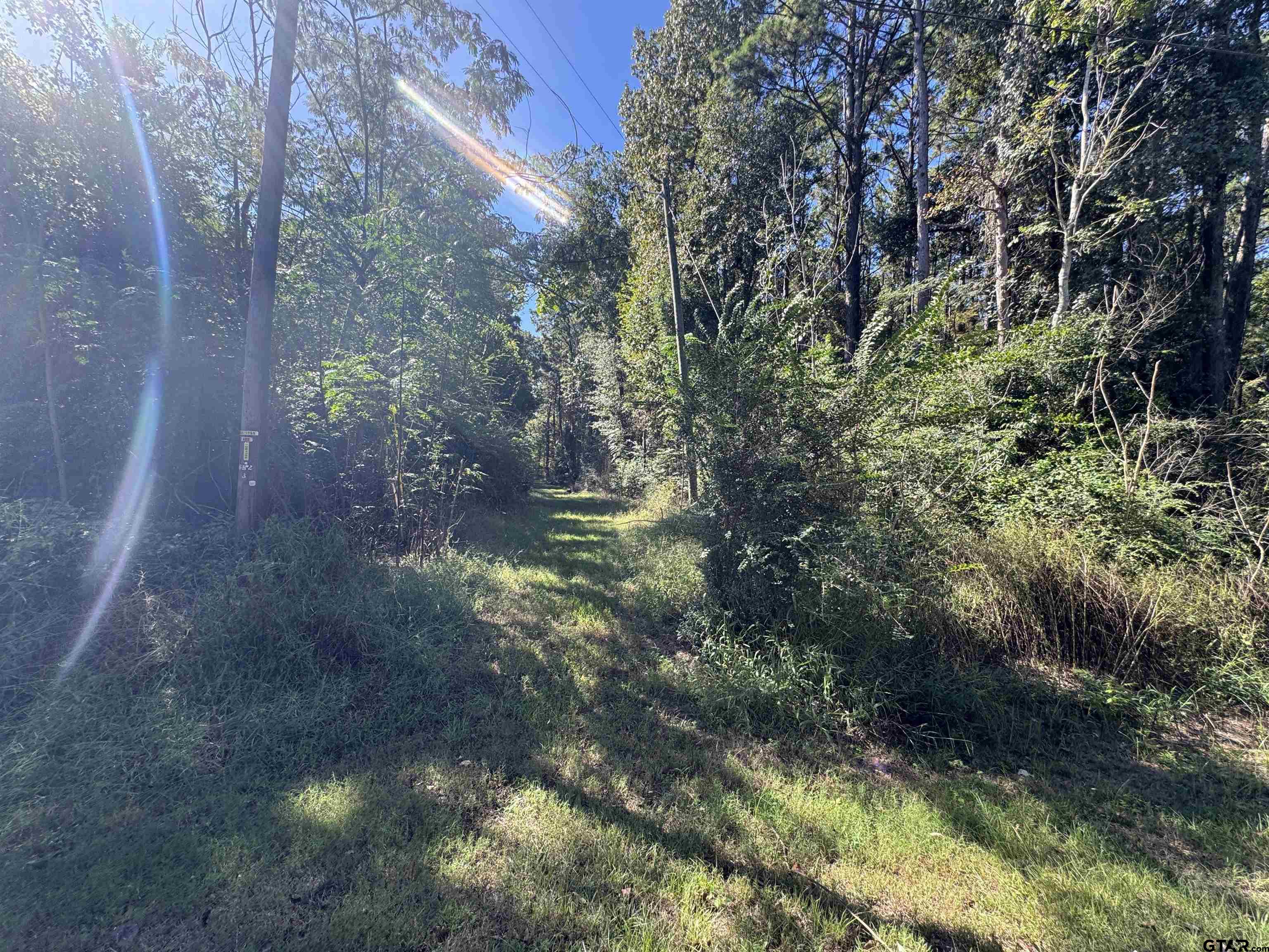 8289 S Hwy 155 Property Photo 21