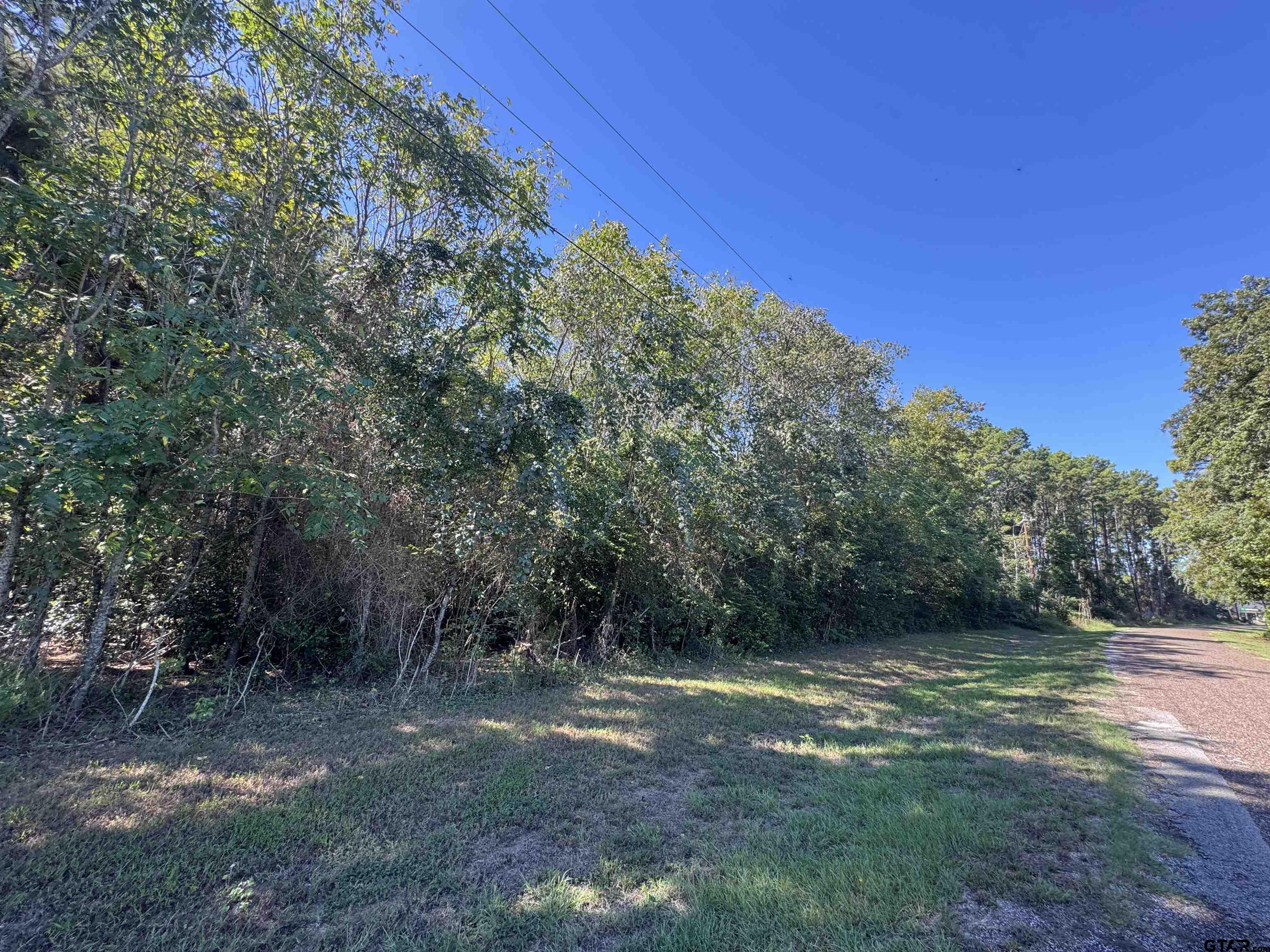 8289 S Hwy 155 Property Photo 22