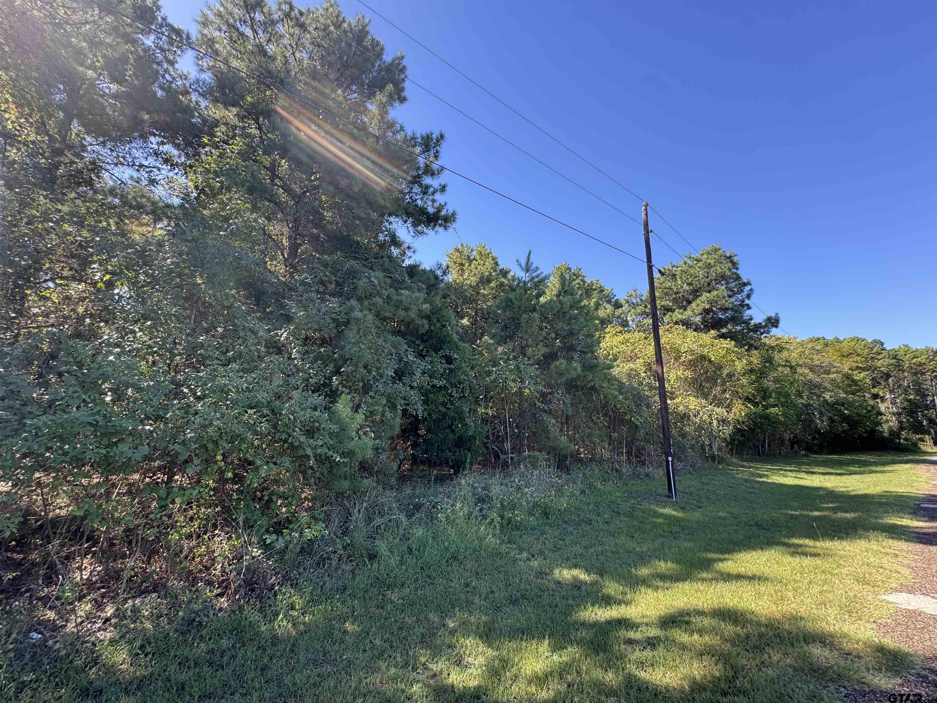 8289 S Hwy 155 Property Photo 23