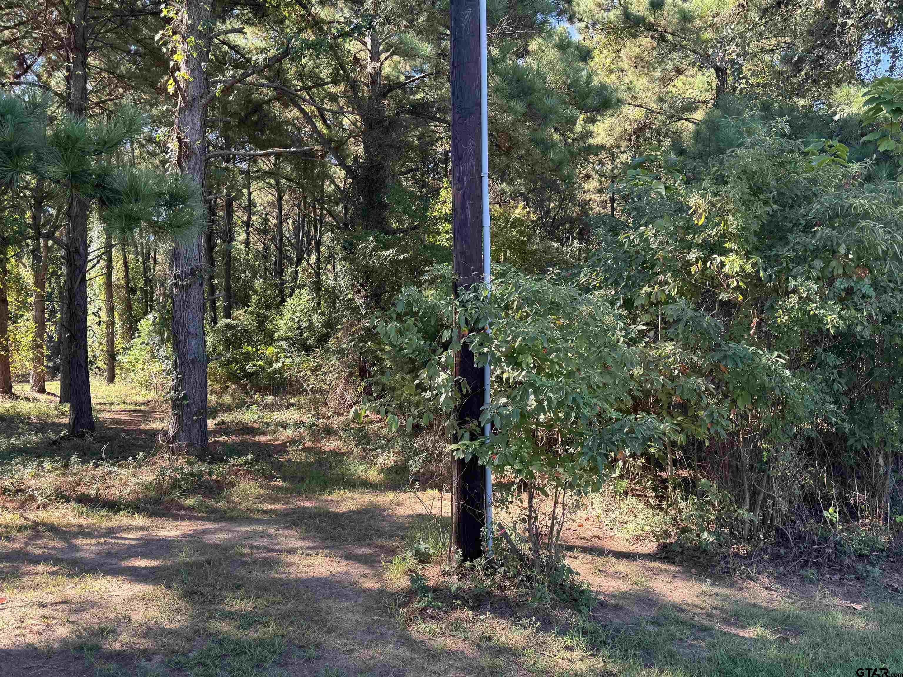 8289 S Hwy 155 Property Photo 24