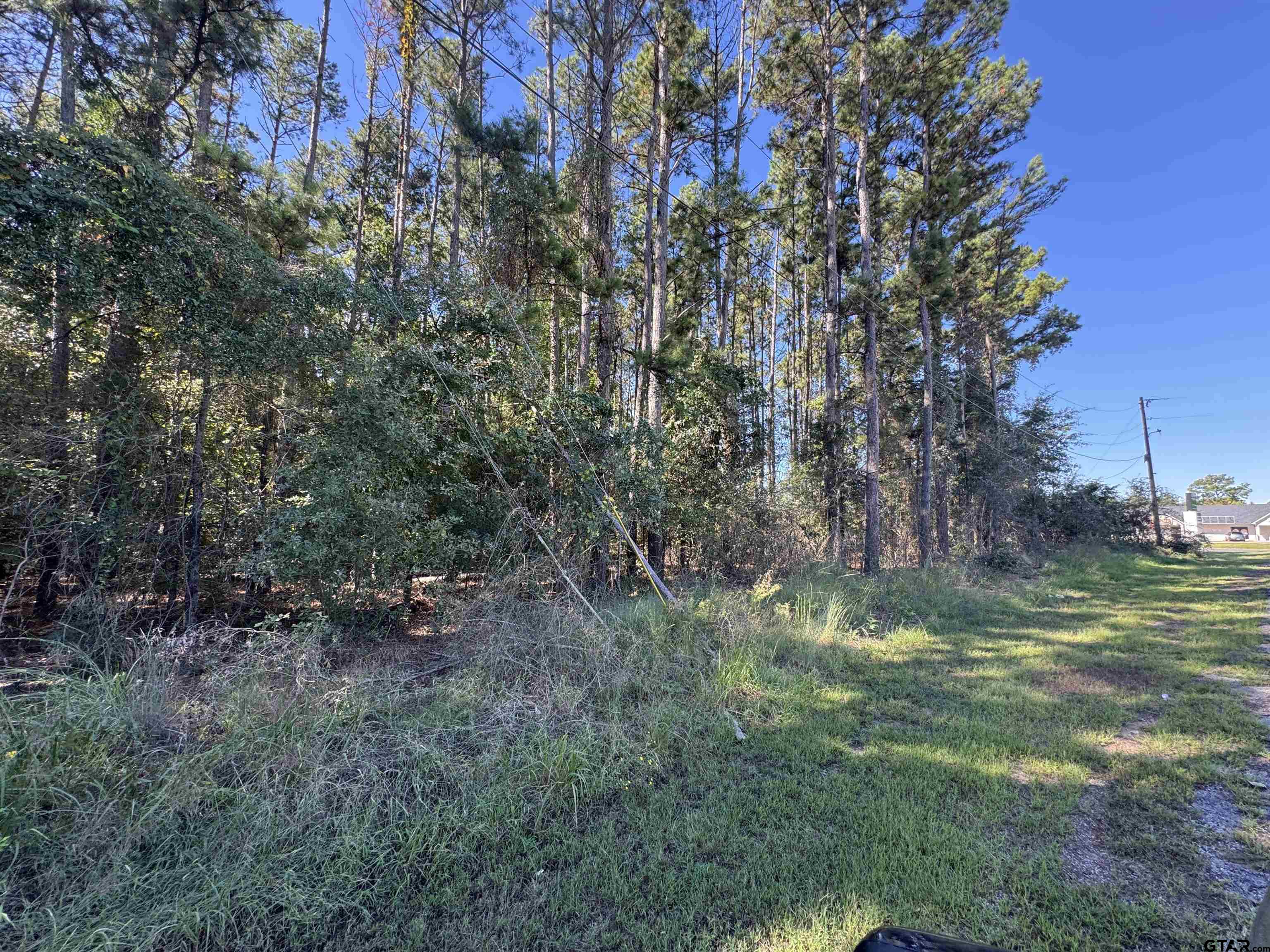 8289 S Hwy 155 Property Photo 25