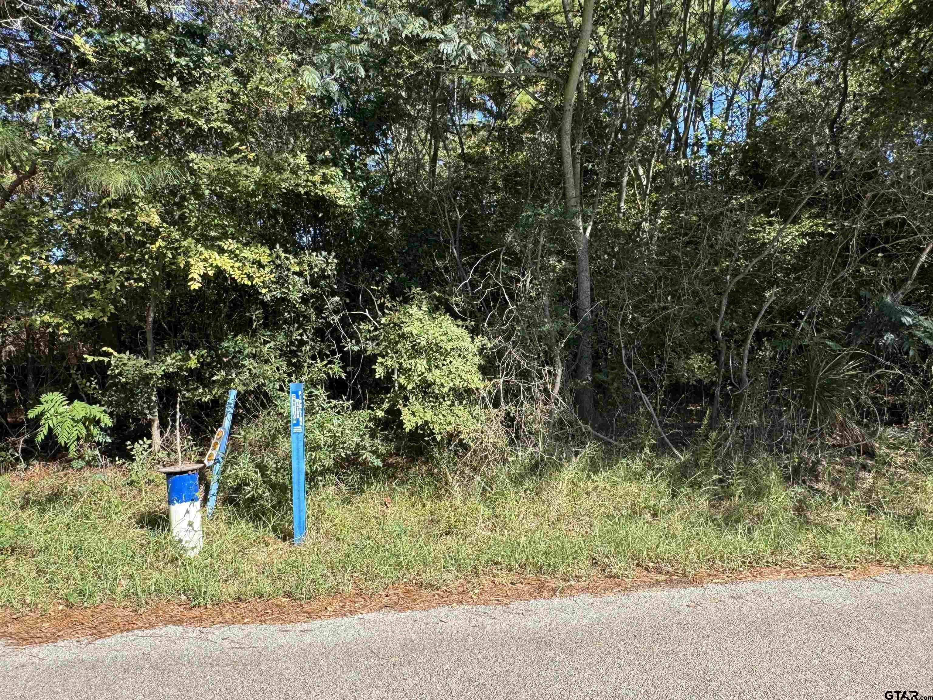 8289 S Hwy 155 Property Photo 26
