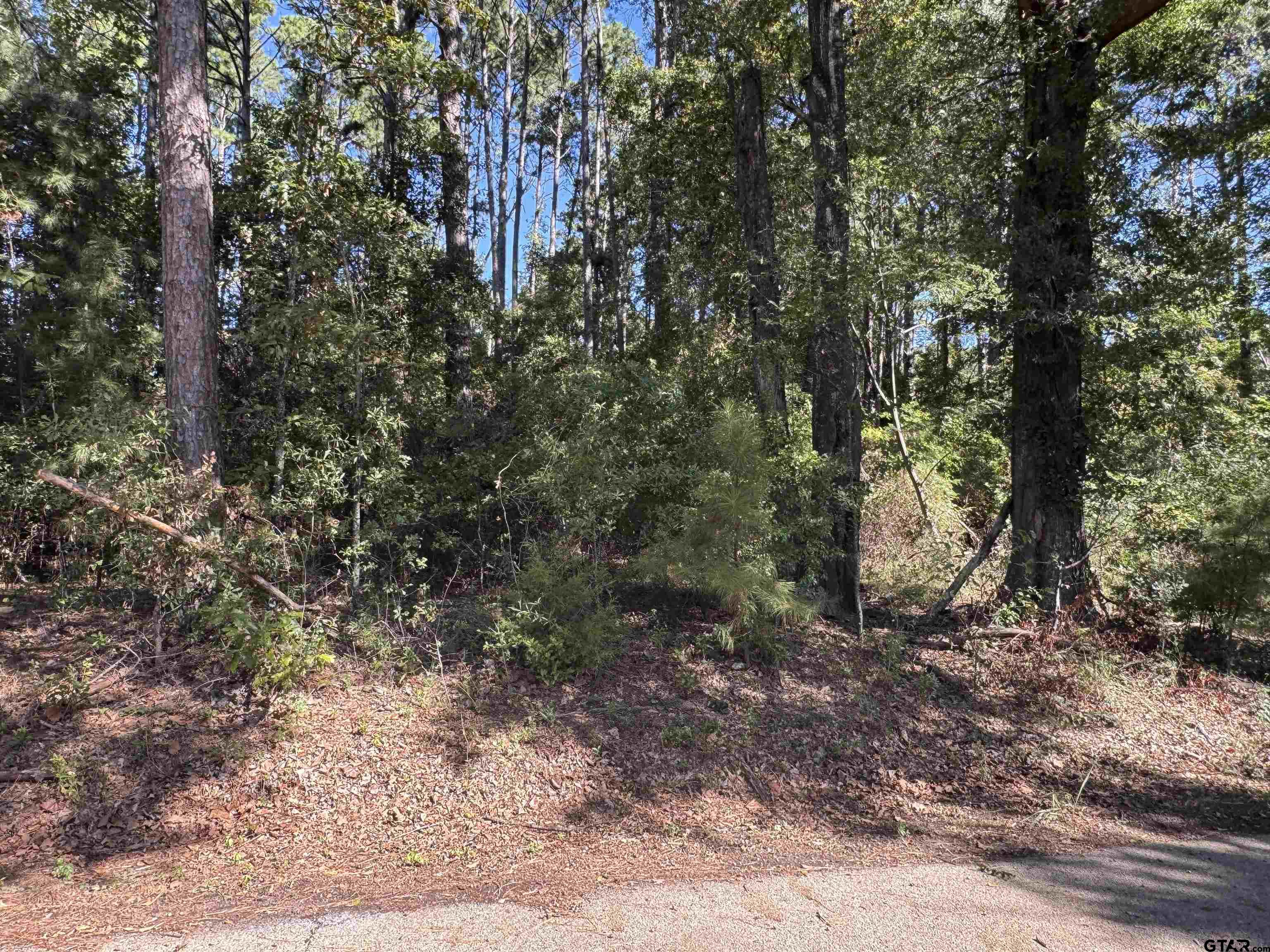 8289 S Hwy 155 Property Photo 27