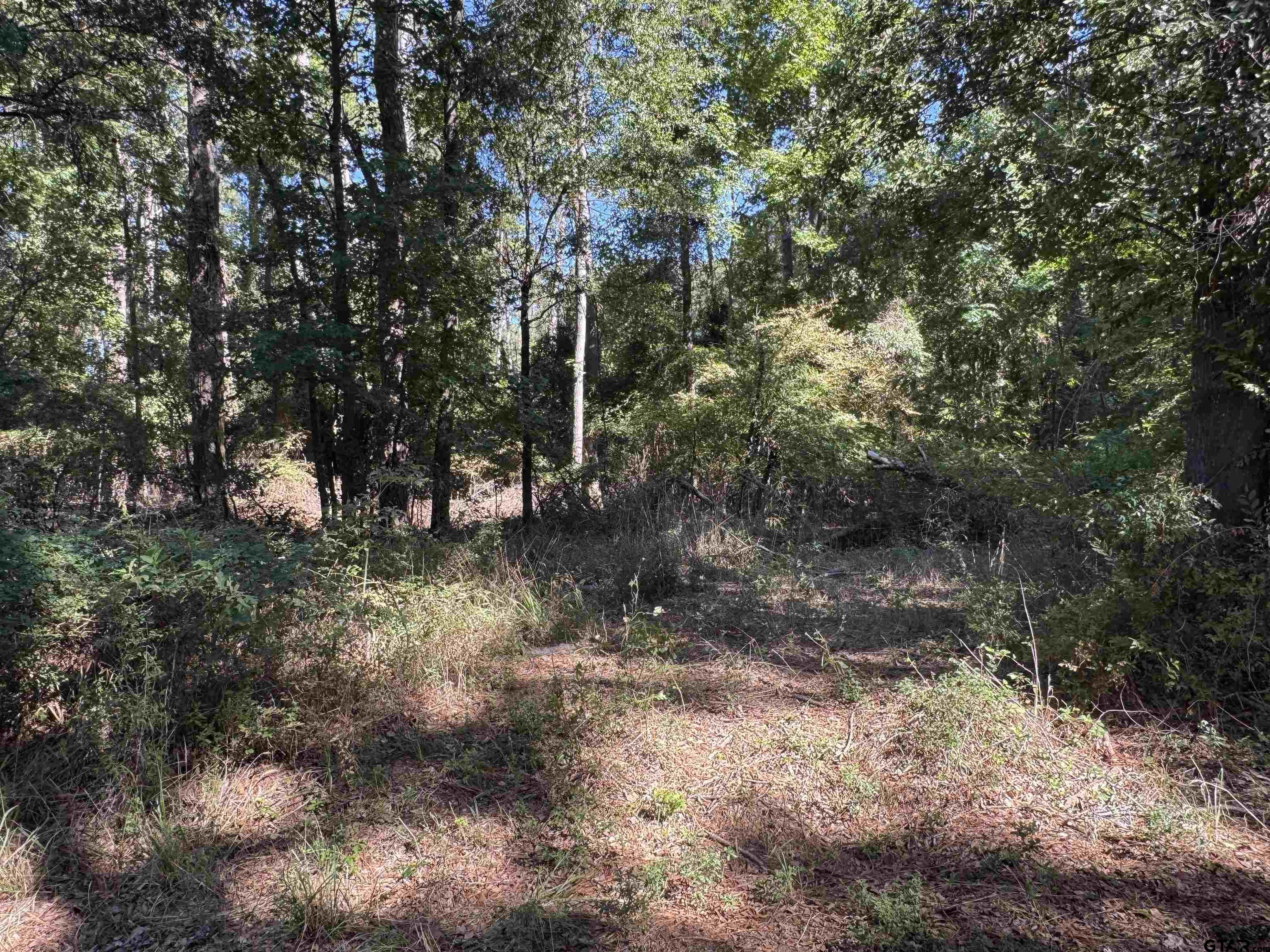 8289 S Hwy 155 Property Photo 28