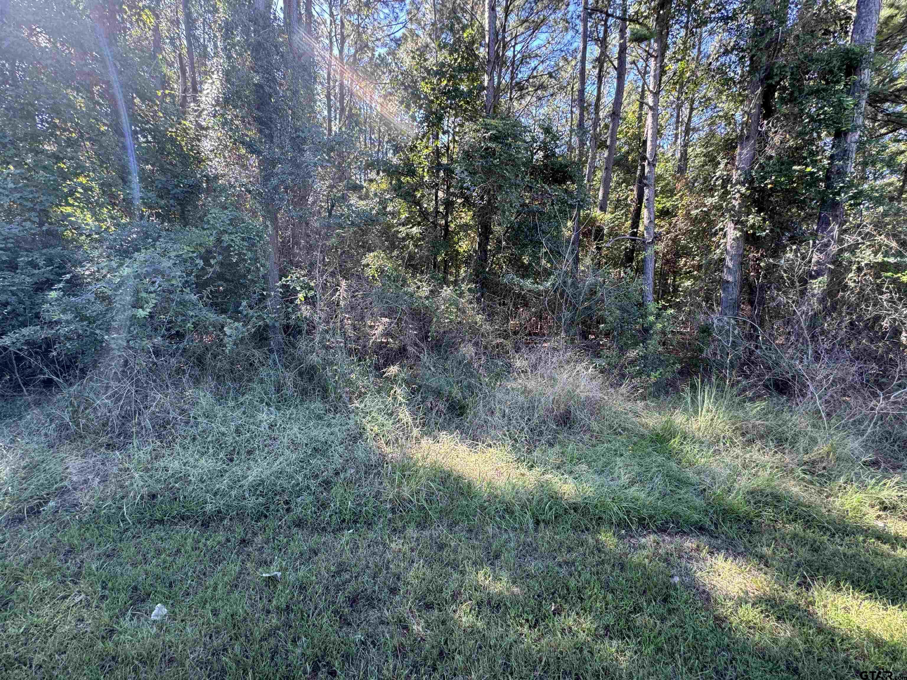 8289 S Hwy 155 Property Photo 32