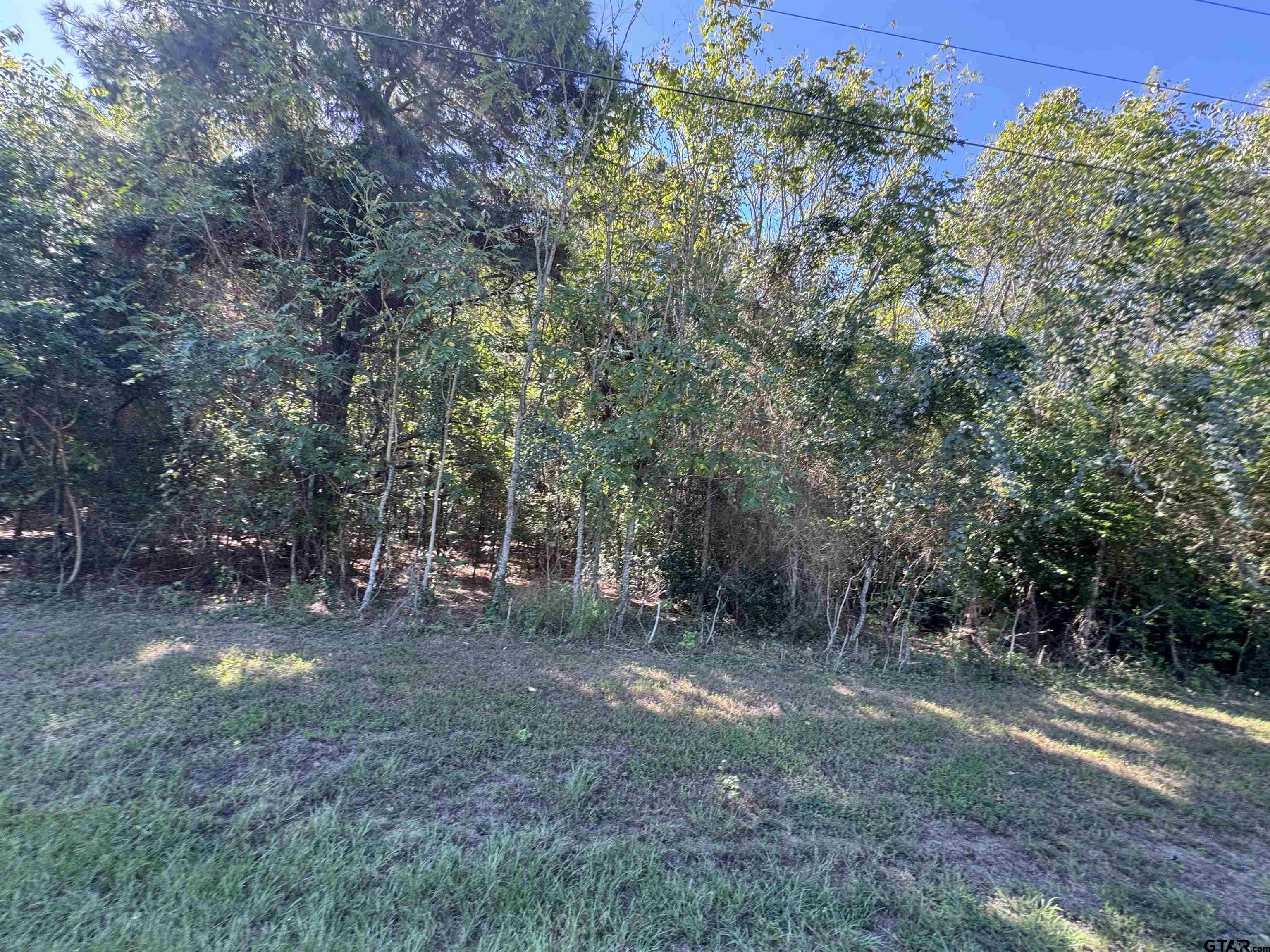 8289 S Hwy 155 Property Photo 33