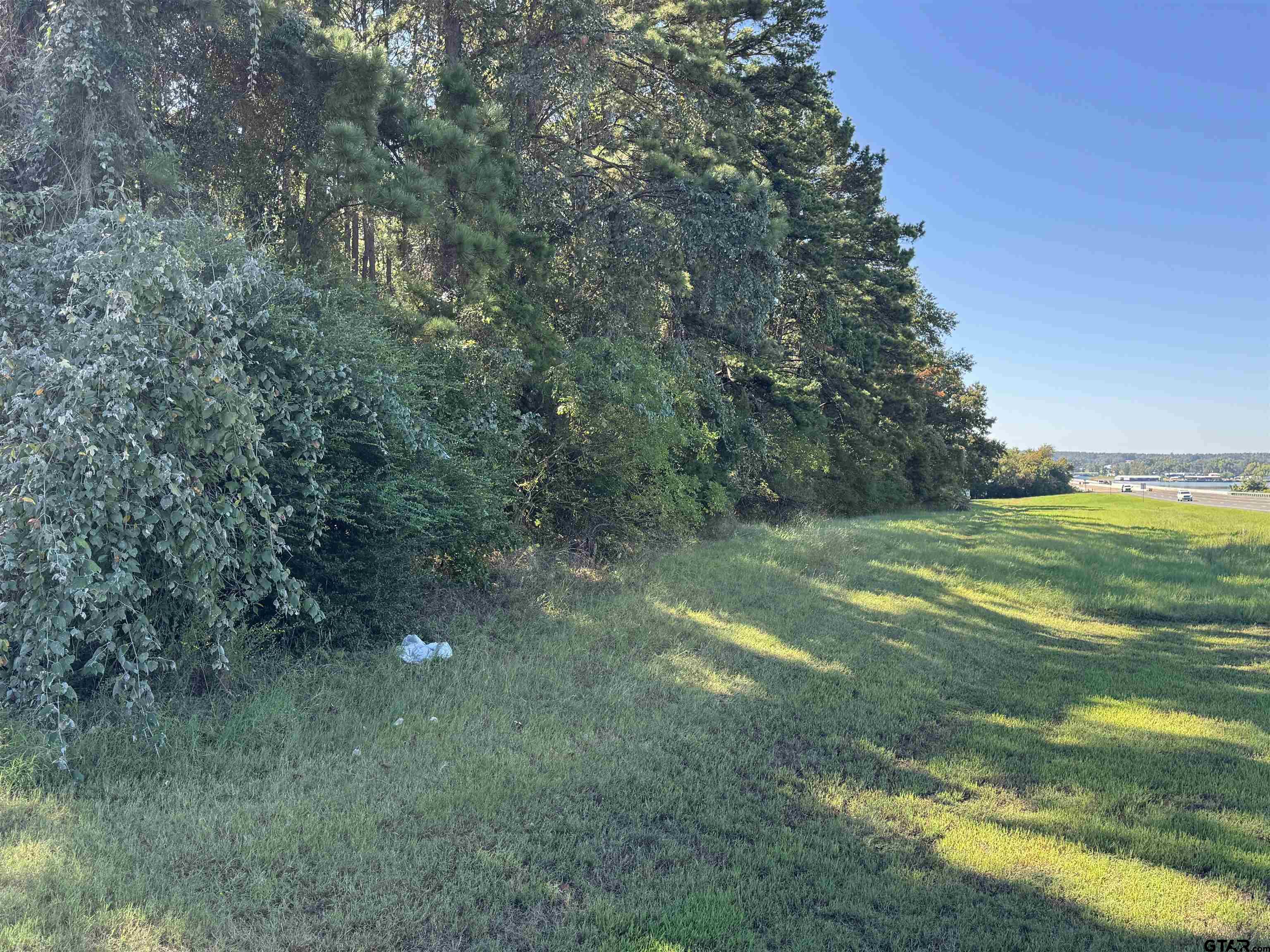 8289 S Hwy 155 Property Photo 35