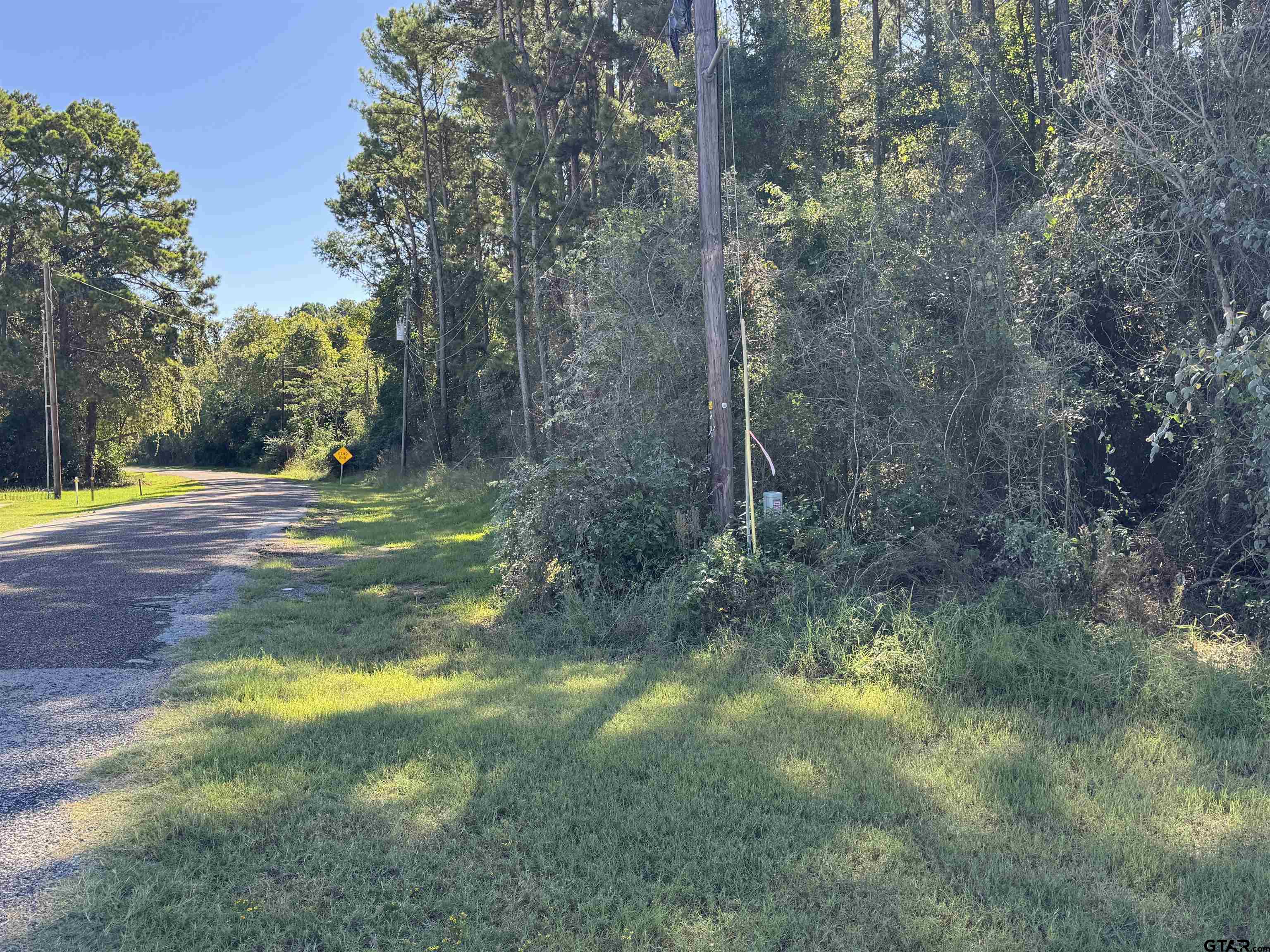 8289 S Hwy 155 Property Photo 42