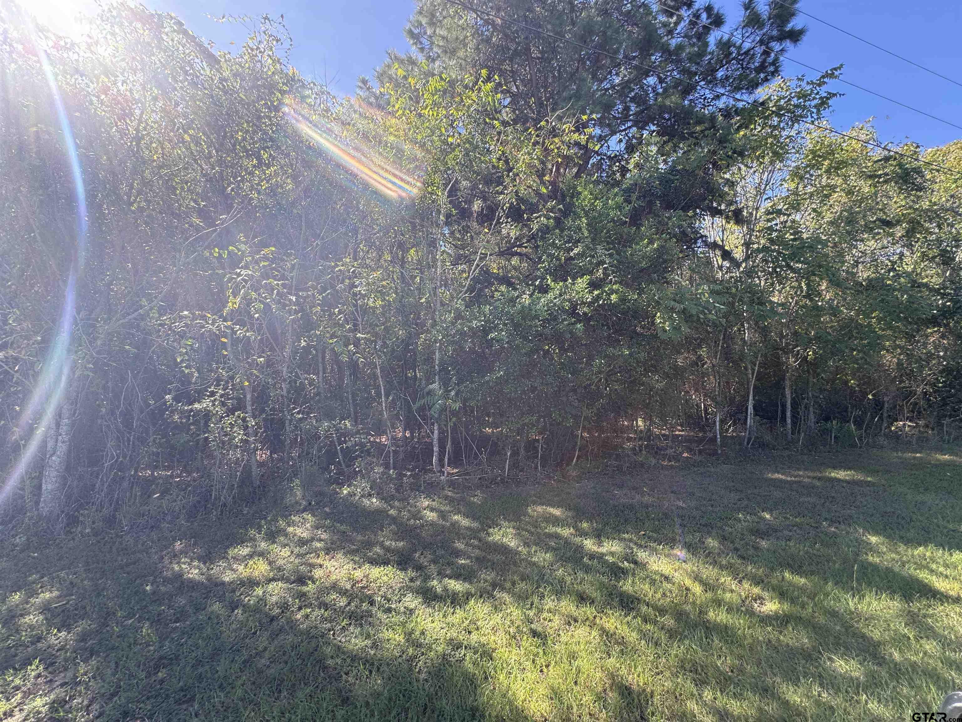8289 S Hwy 155 Property Photo 43