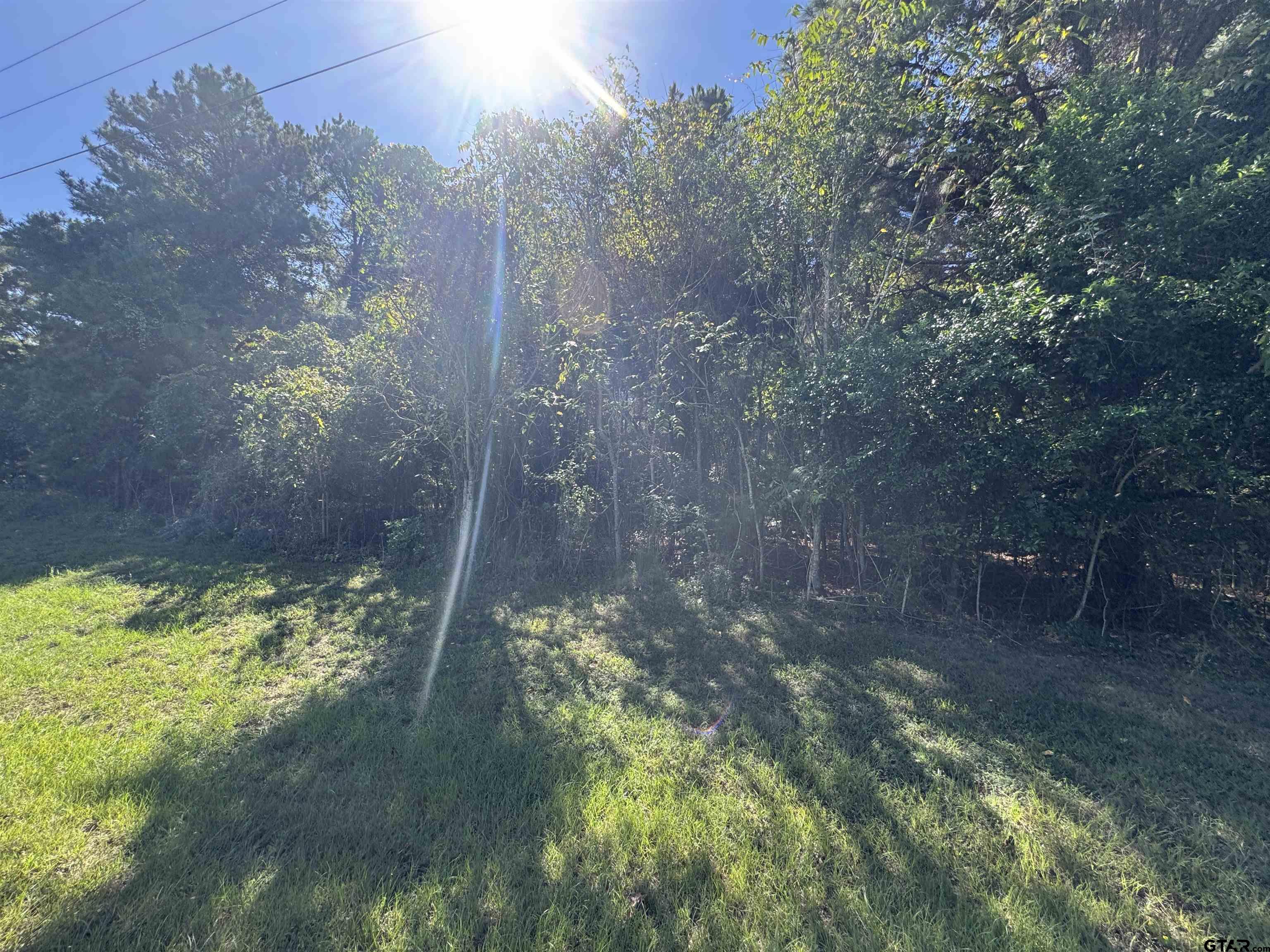 8289 S Hwy 155 Property Photo 44