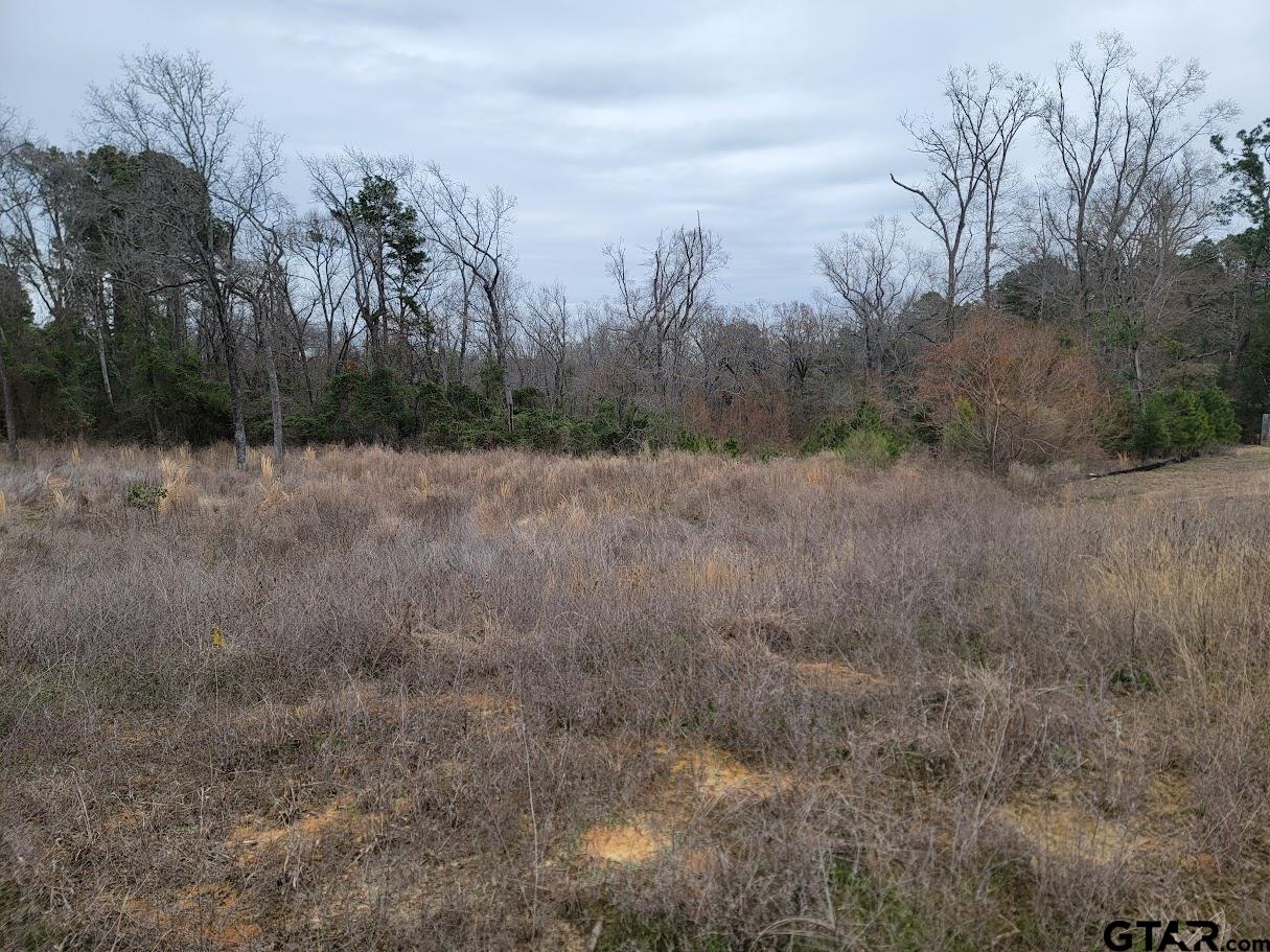 3515 & 3507 Chapel View Property Photo 5