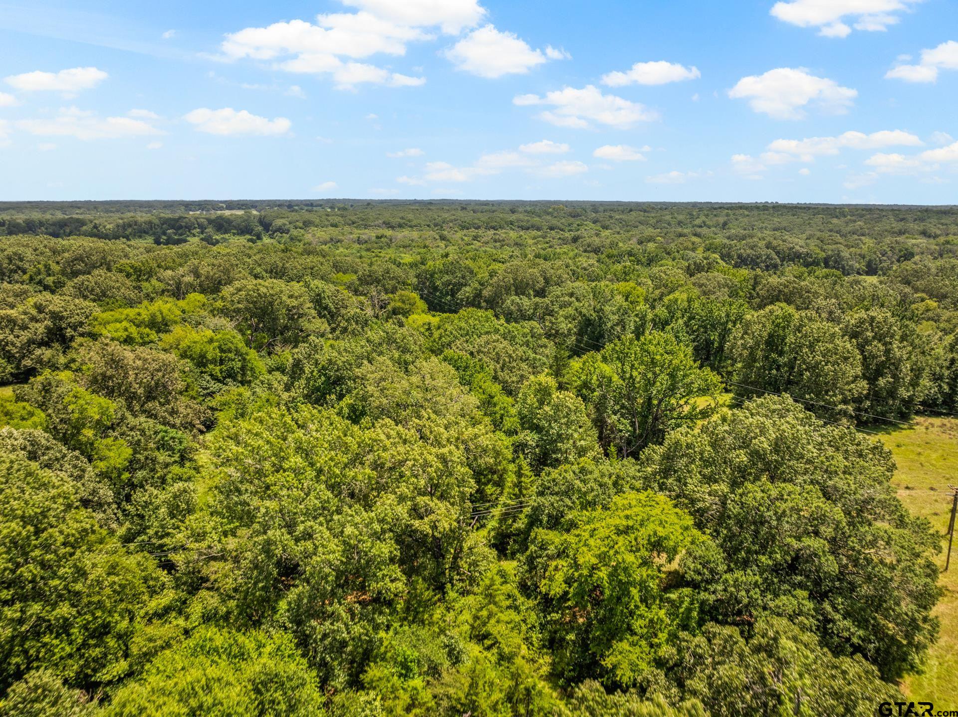 Tbd Interstate 30 Tr 1 Property Photo 10