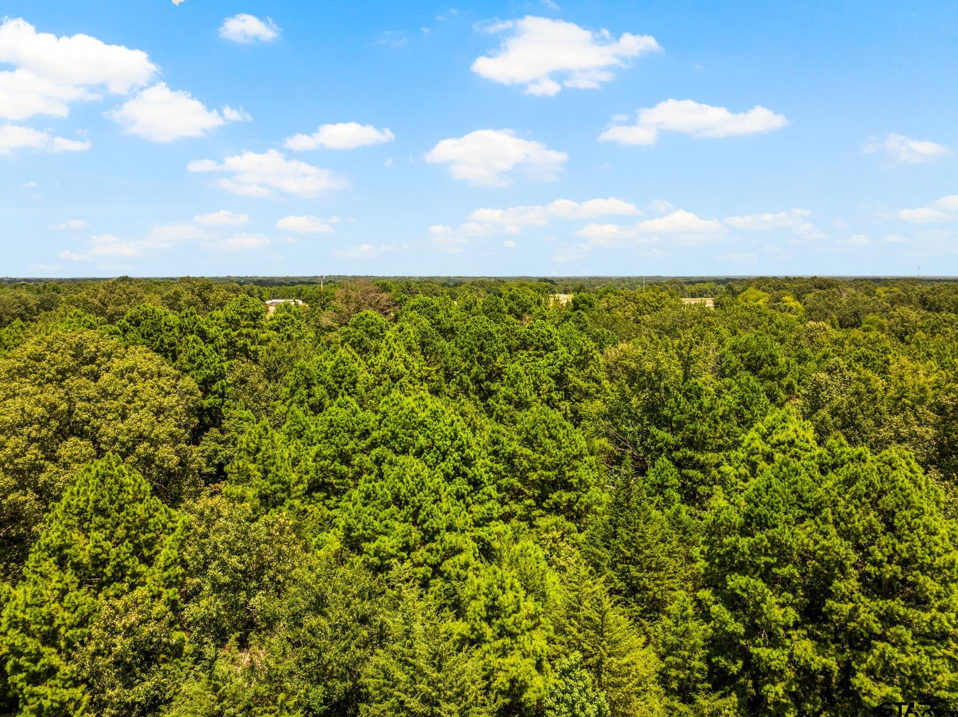 Tbd Interstate 30 Tr 1 Property Photo 12