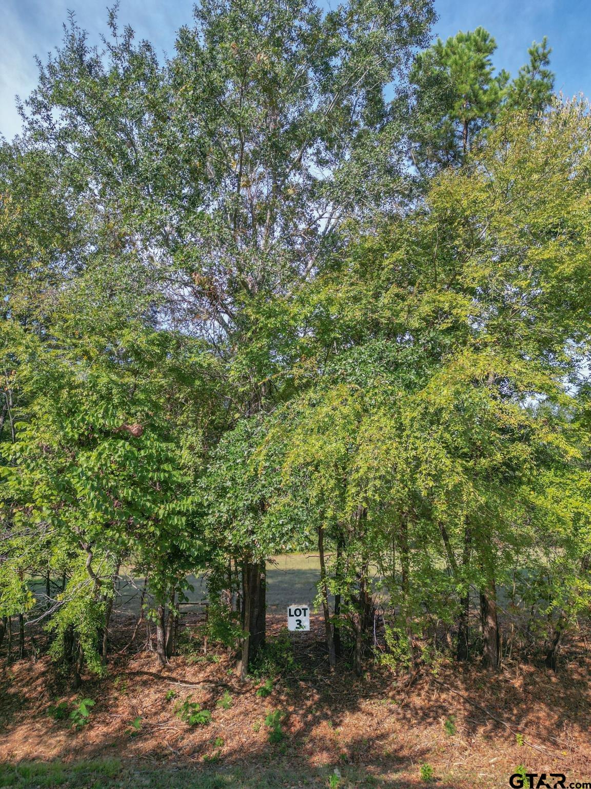 Lot 3 Willingham Rd Property Photo 3