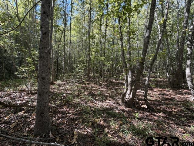 000 County Road 1206 Property Photo 15