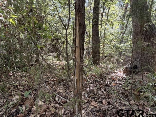 000 County Road 1206 Property Photo 17