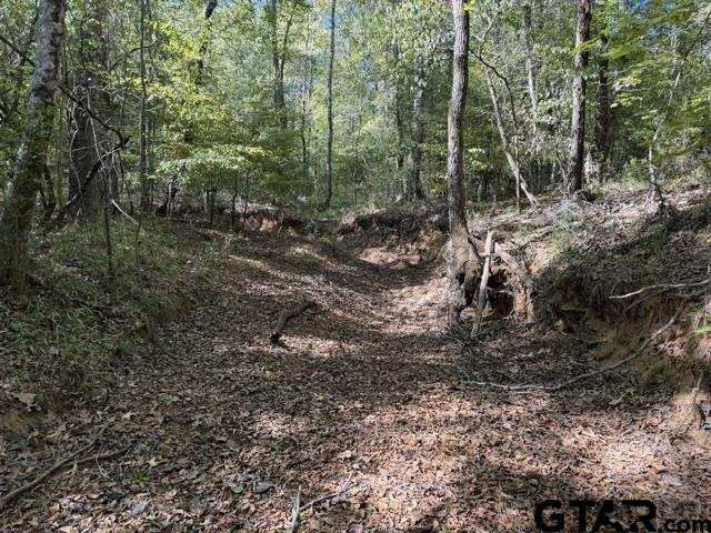 000 County Road 1206 Property Photo 18