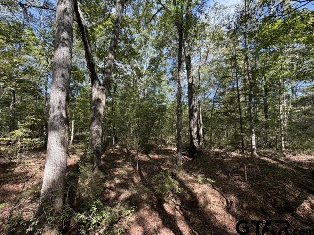 000 County Road 1206 Property Photo 21