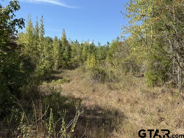 000 County Road 1206 Property Photo 23