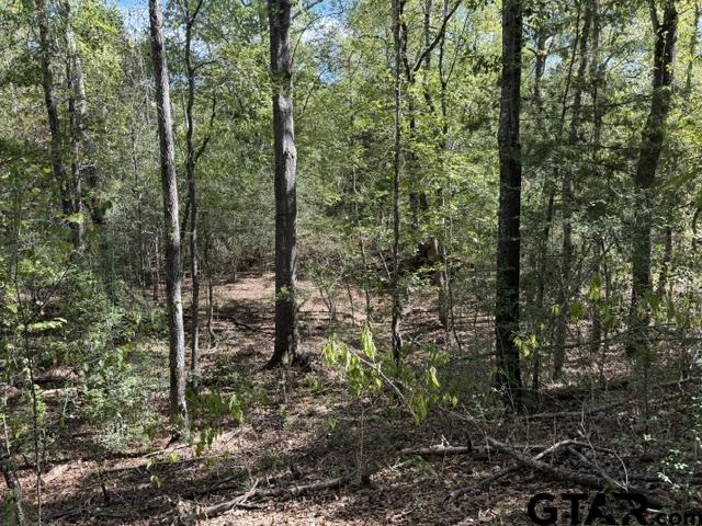 000 County Road 1206 Property Photo 24