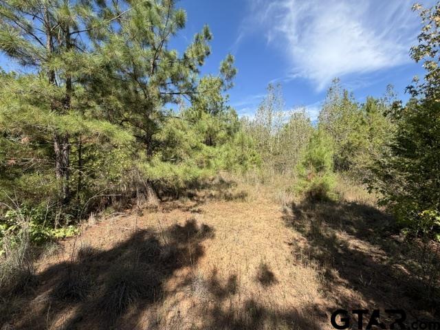 000 County Road 1206 Property Photo 25