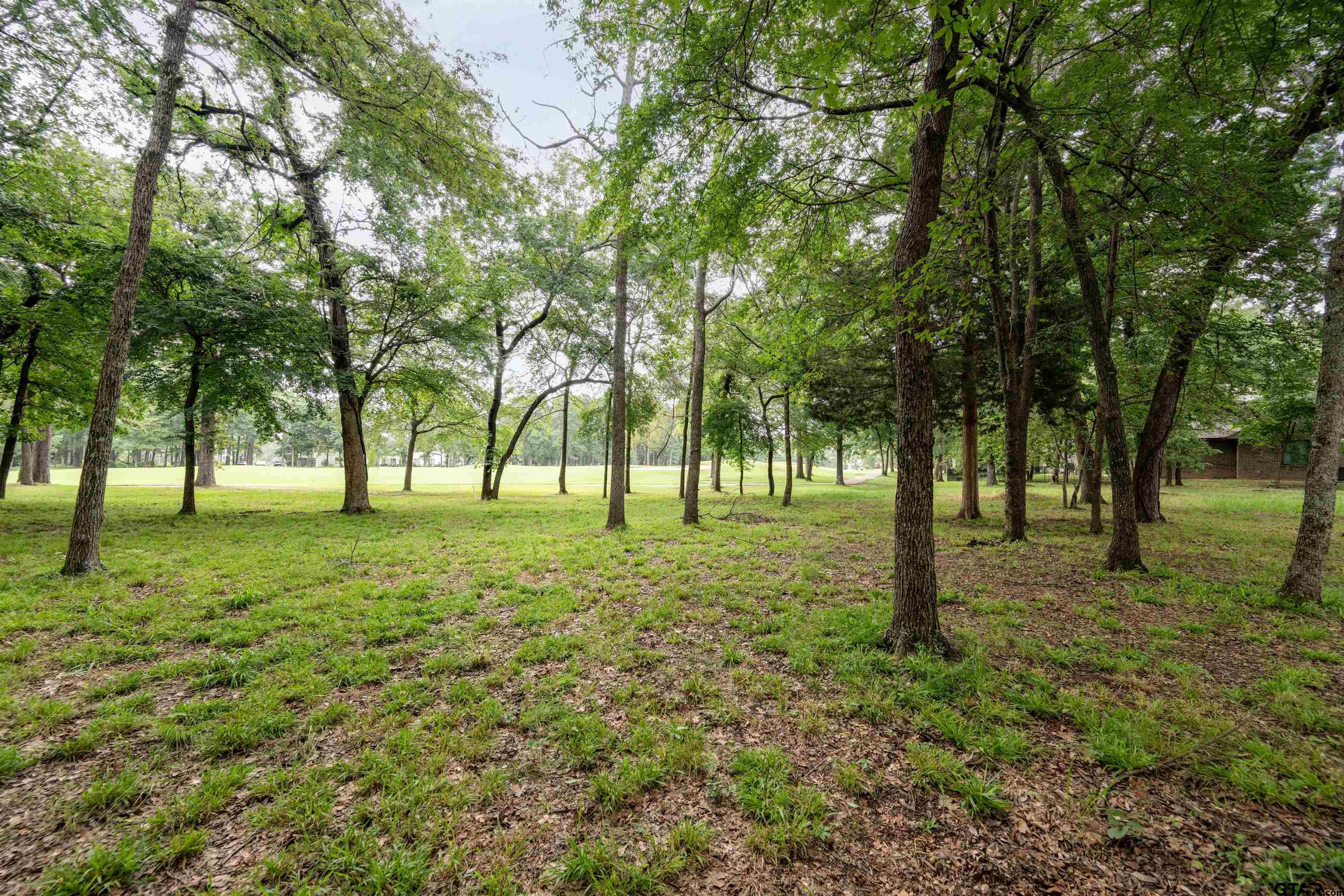 Tbd S. Eagles Bluff Blvd. Property Photo 3