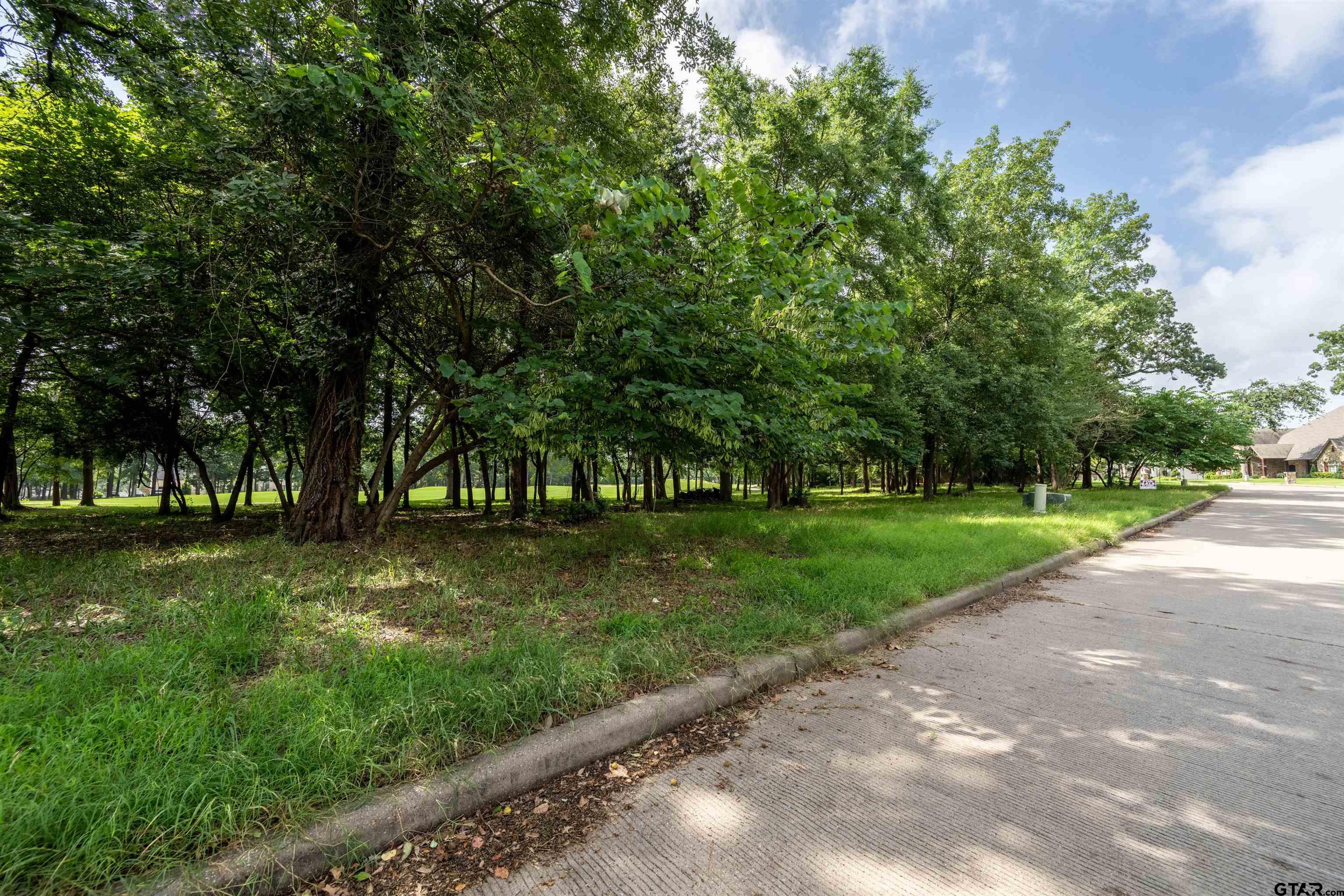 Tbd S. Eagles Bluff Blvd. Property Photo 5