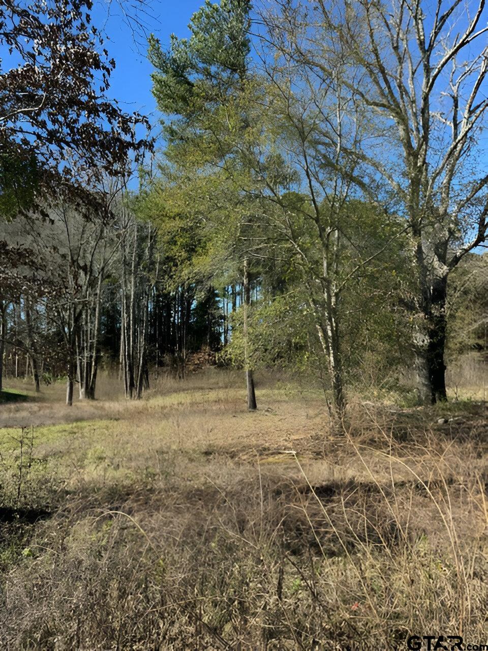 Lot 3 Berrycreek Circle Property Photo 1