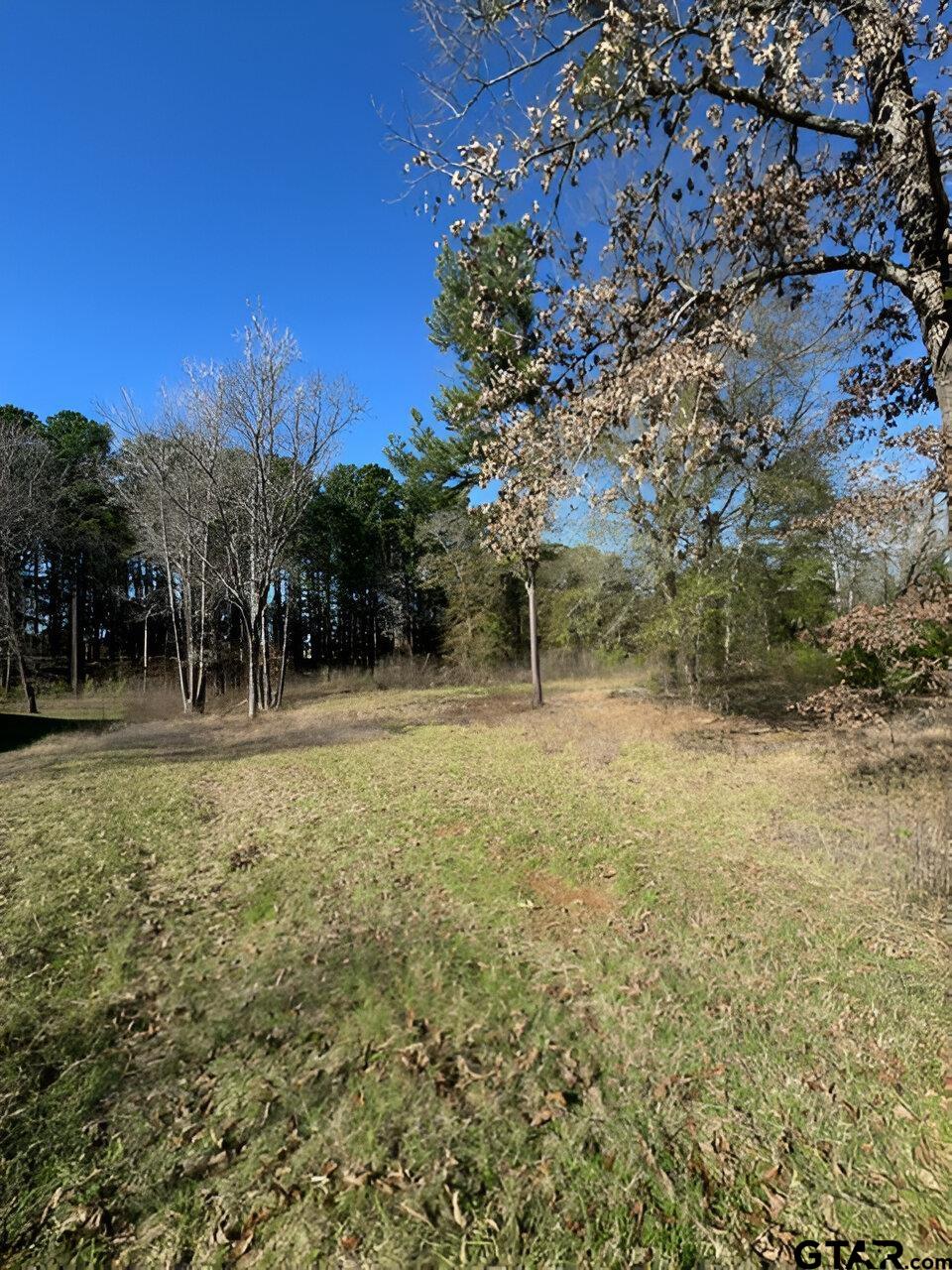 Lot 3 Berrycreek Circle Property Photo 5