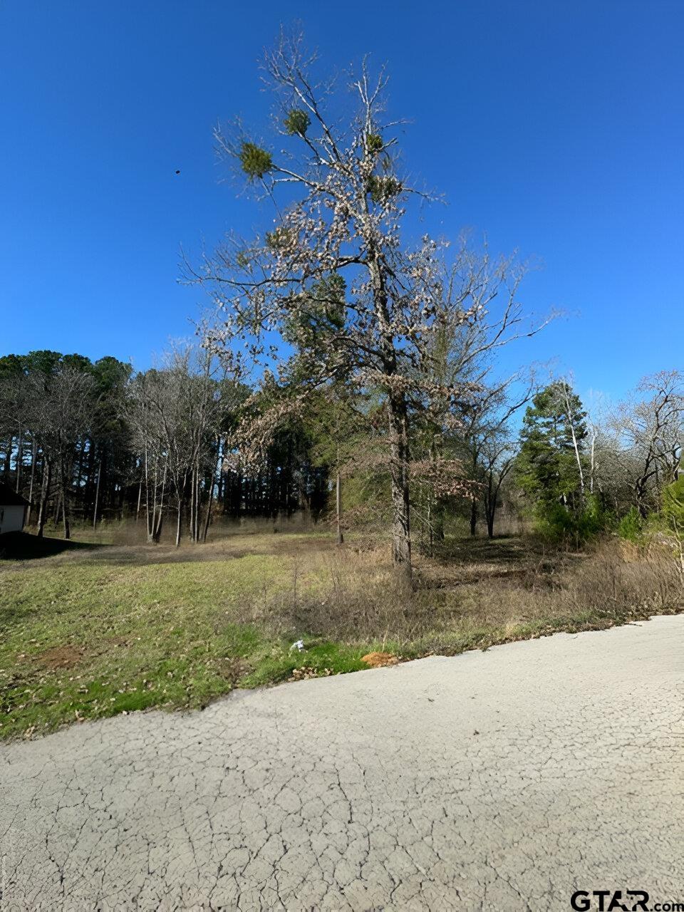 Lot 3 Berrycreek Circle Property Photo 6