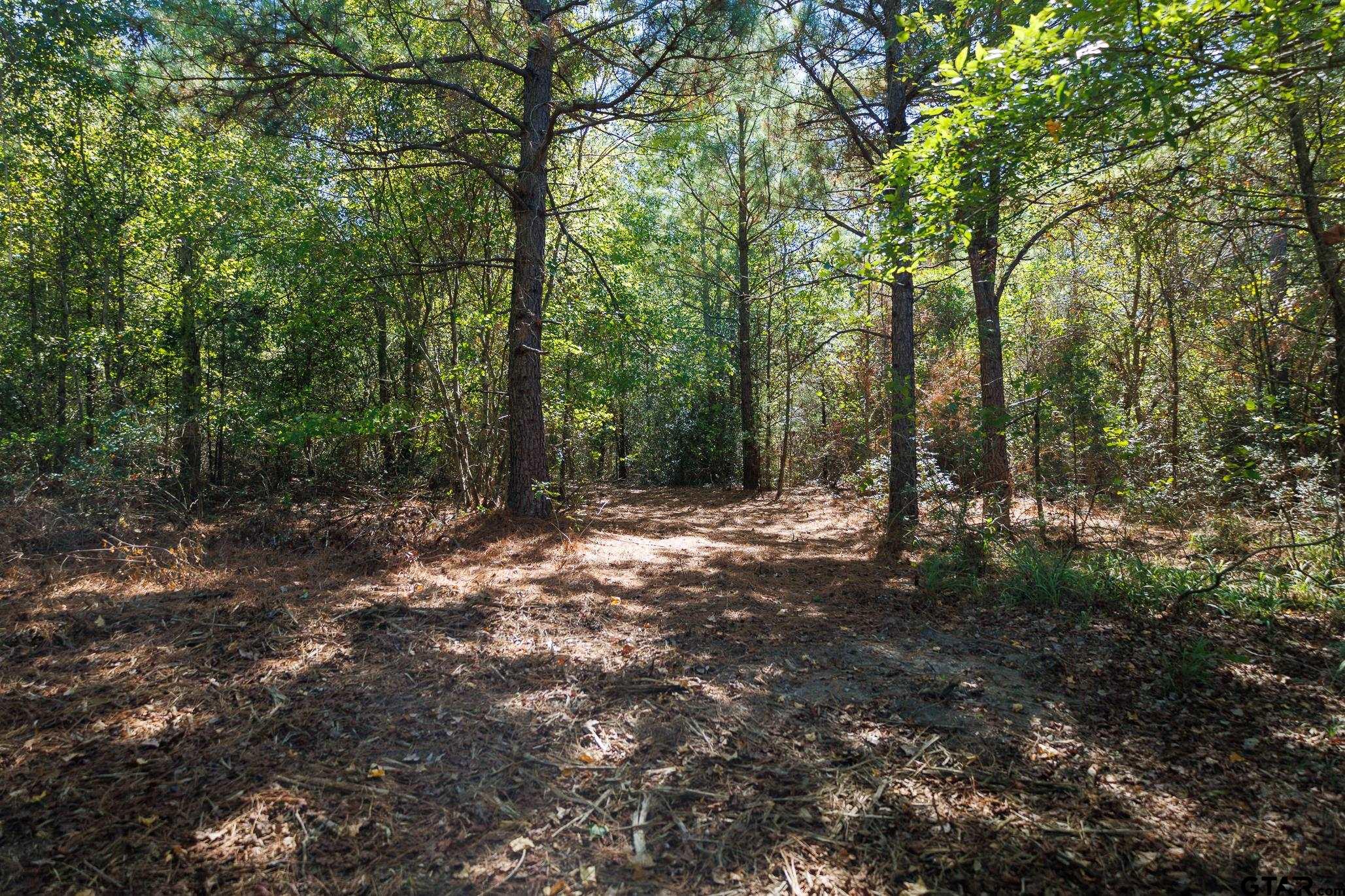 Tbd Peach Road Property Photo 1
