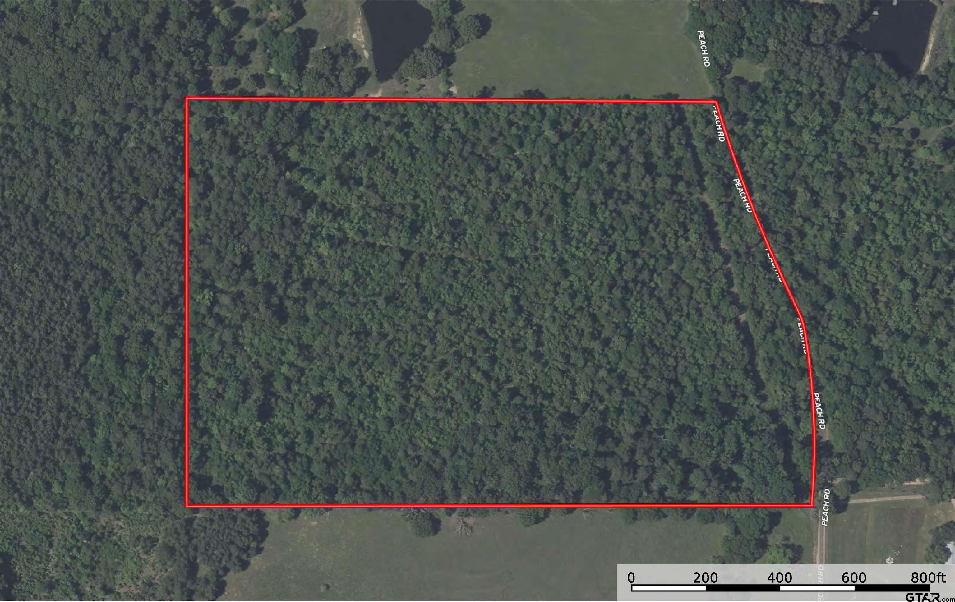Tbd Peach Road Property Photo 2